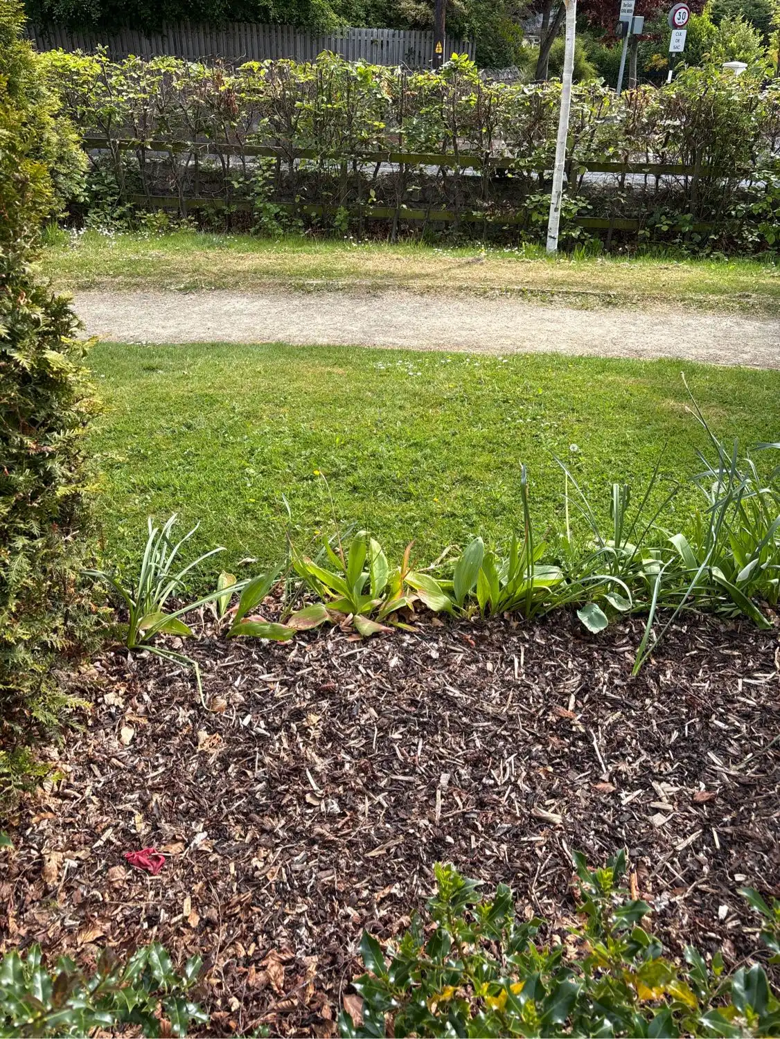 image-17