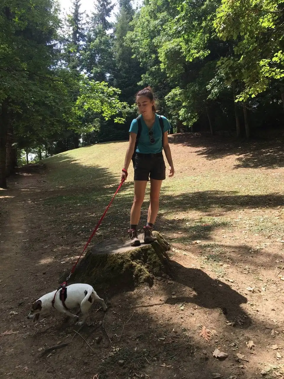 image-12