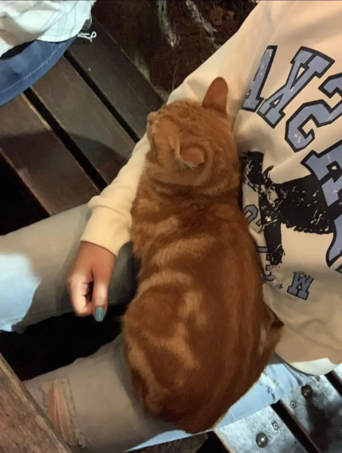 image-6