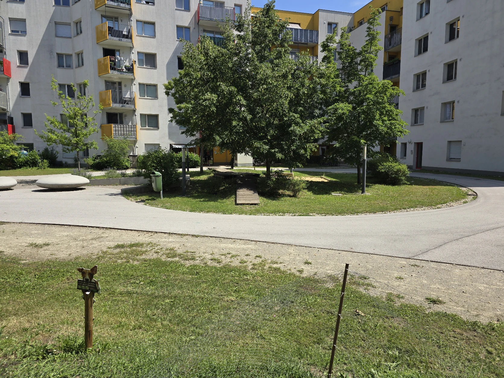 image-21