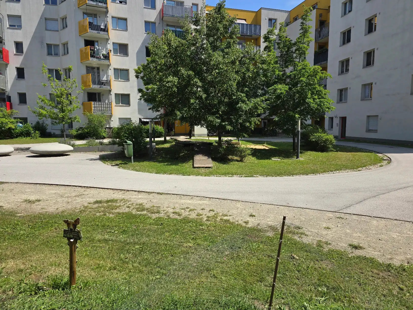 image-21
