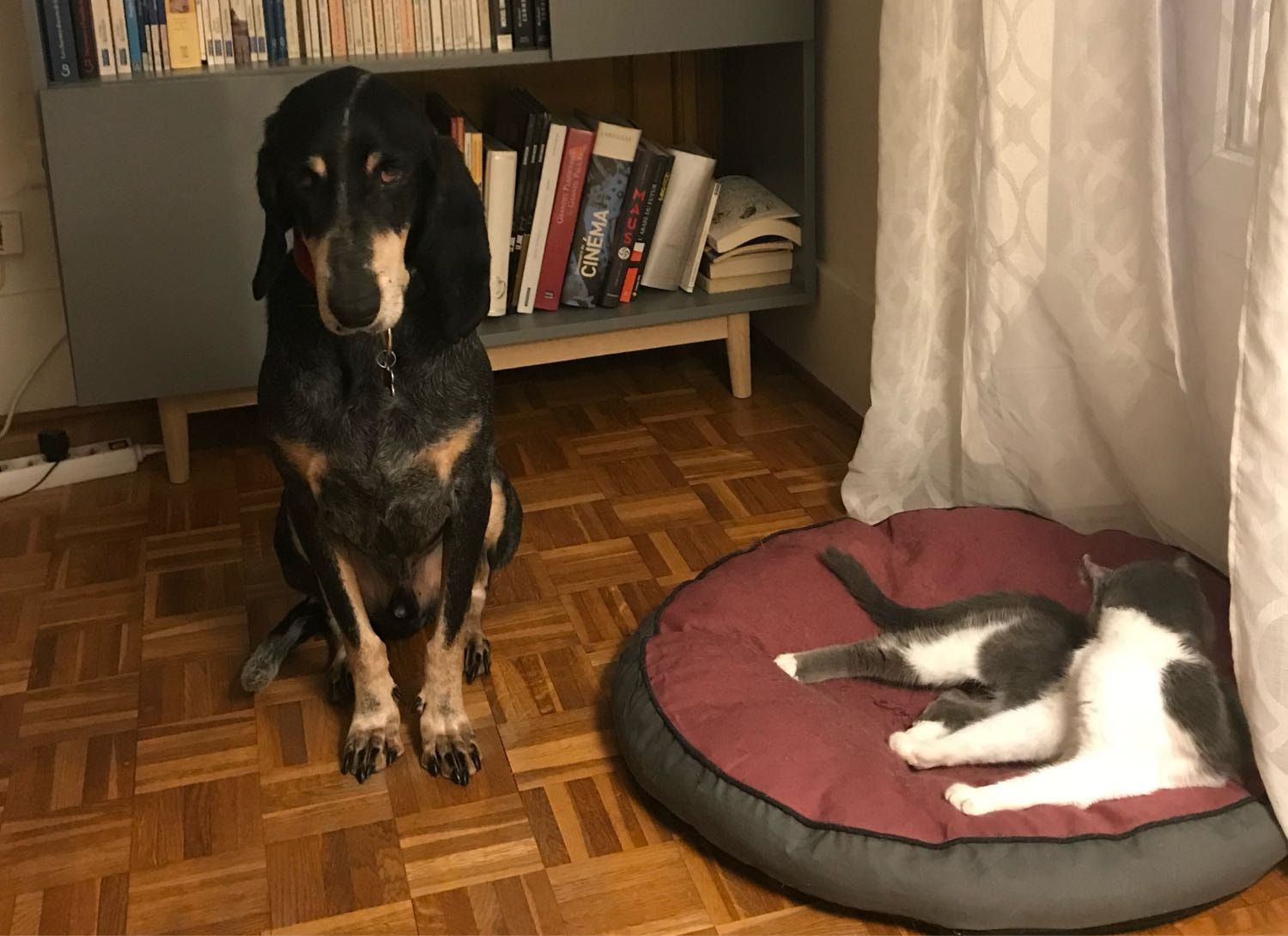 image-6