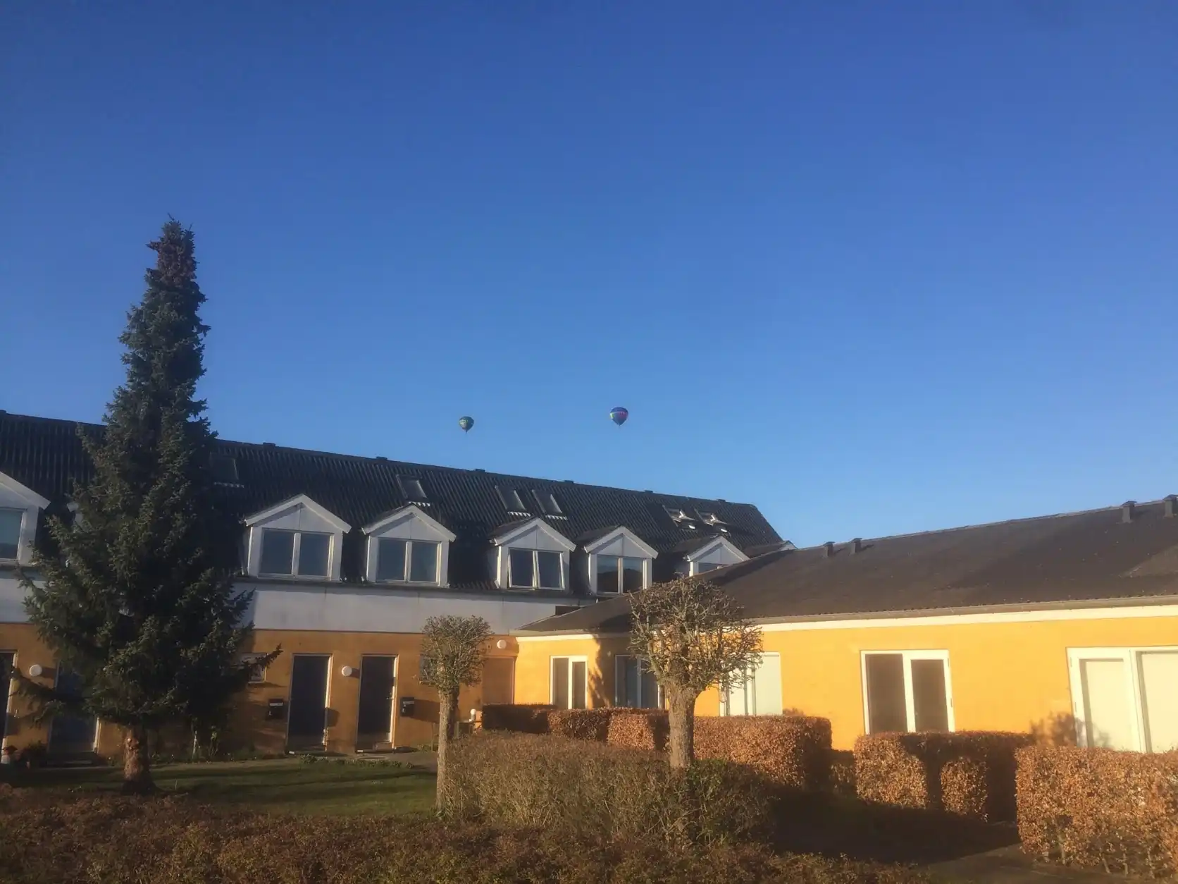 image-14