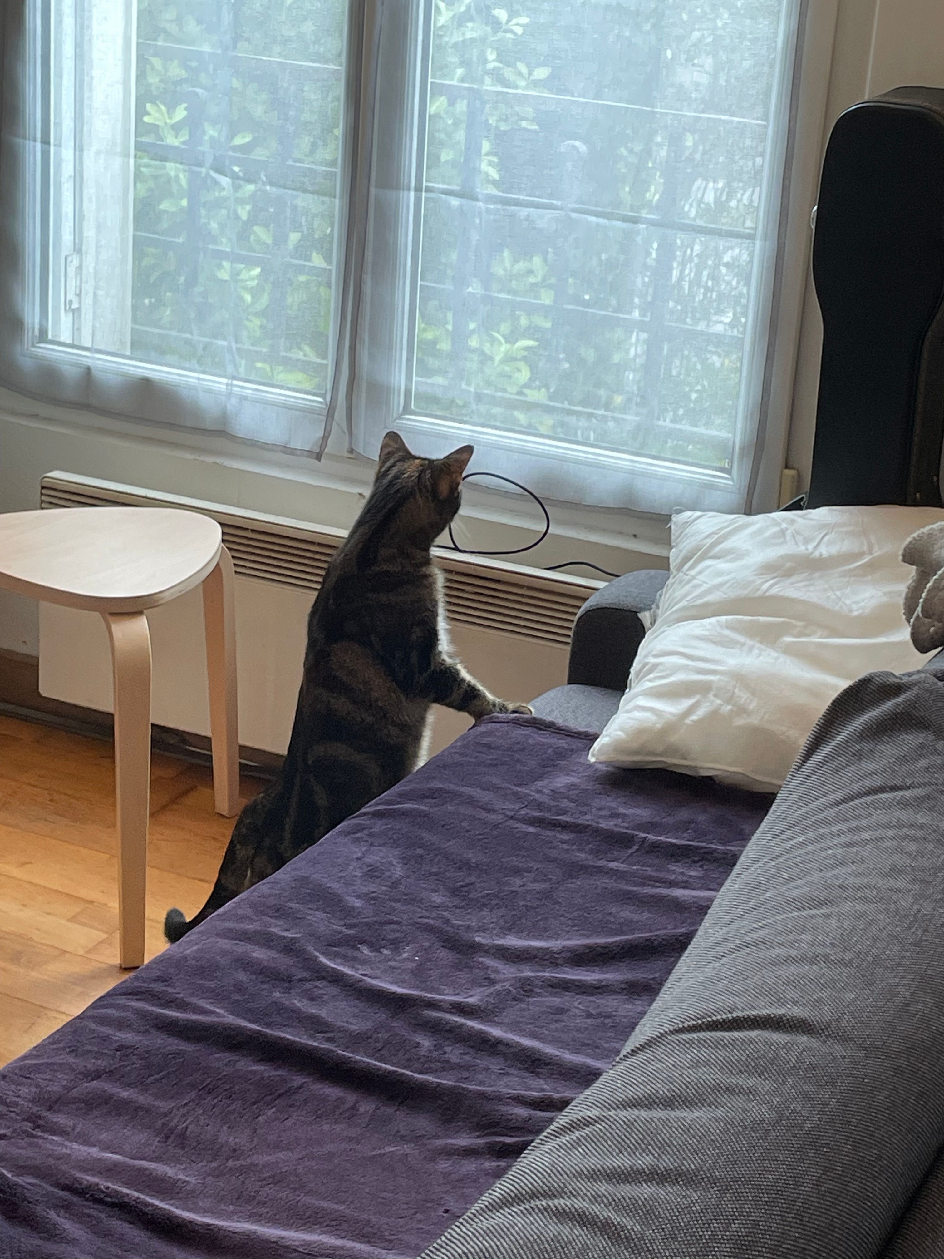 image-8