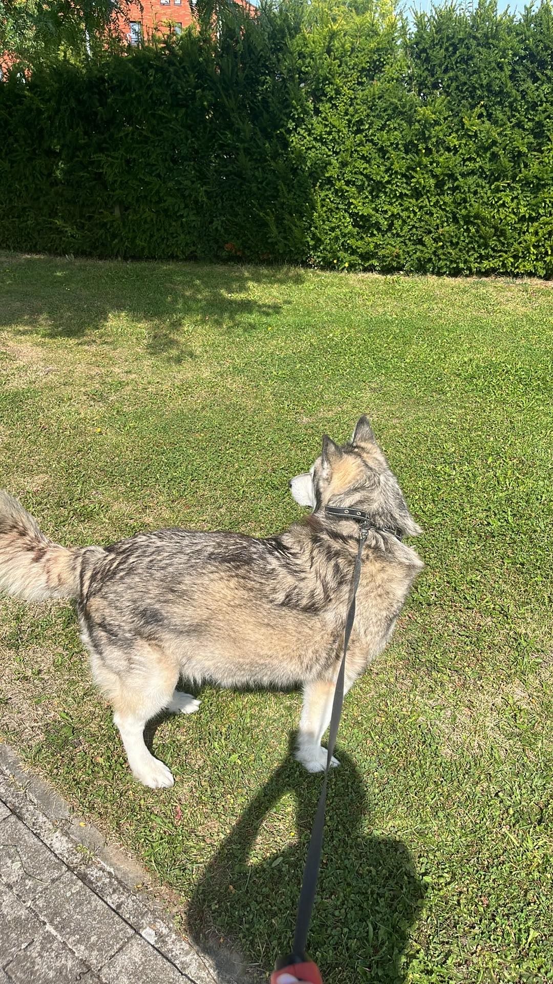 image-13