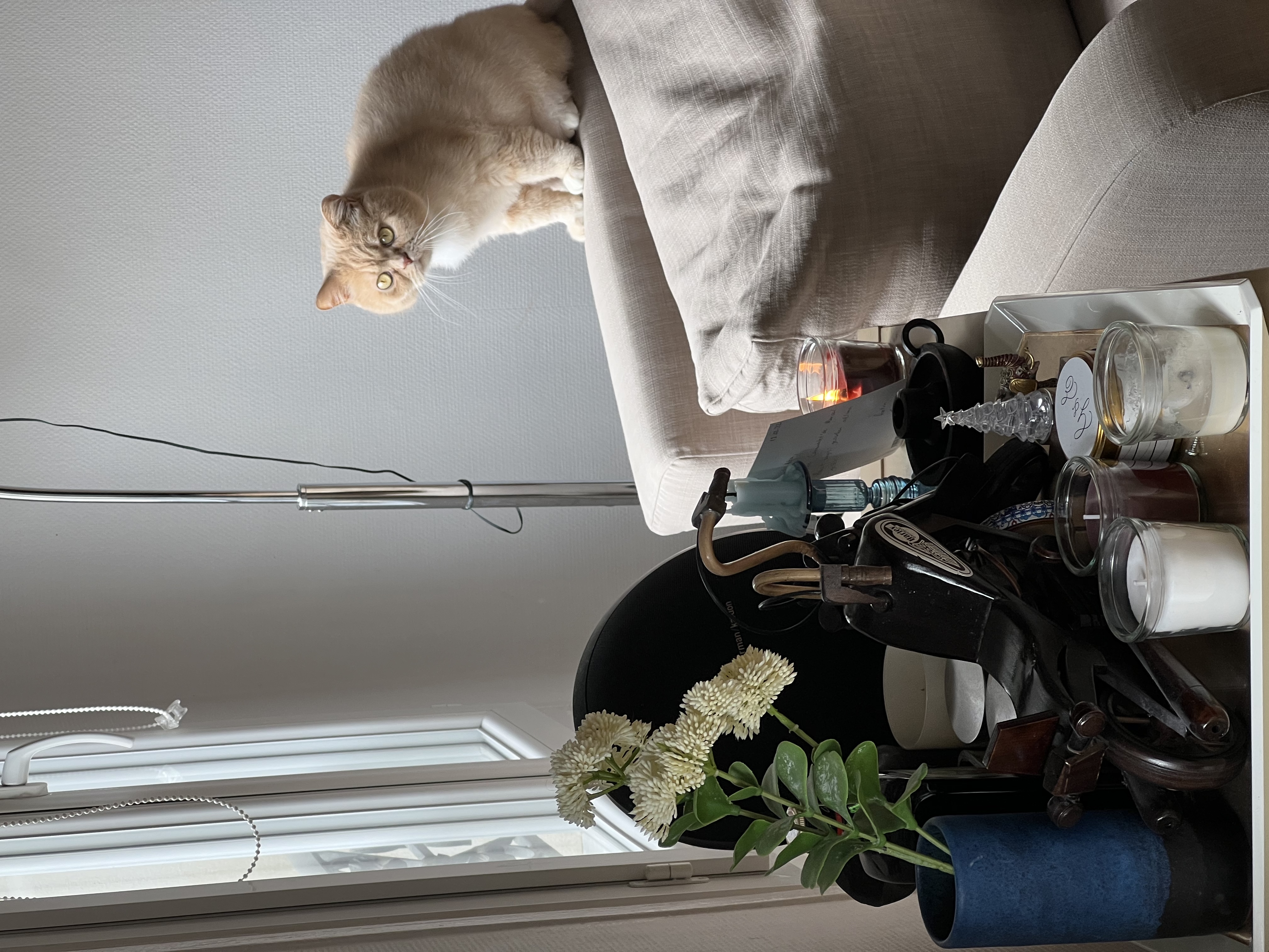 image-10