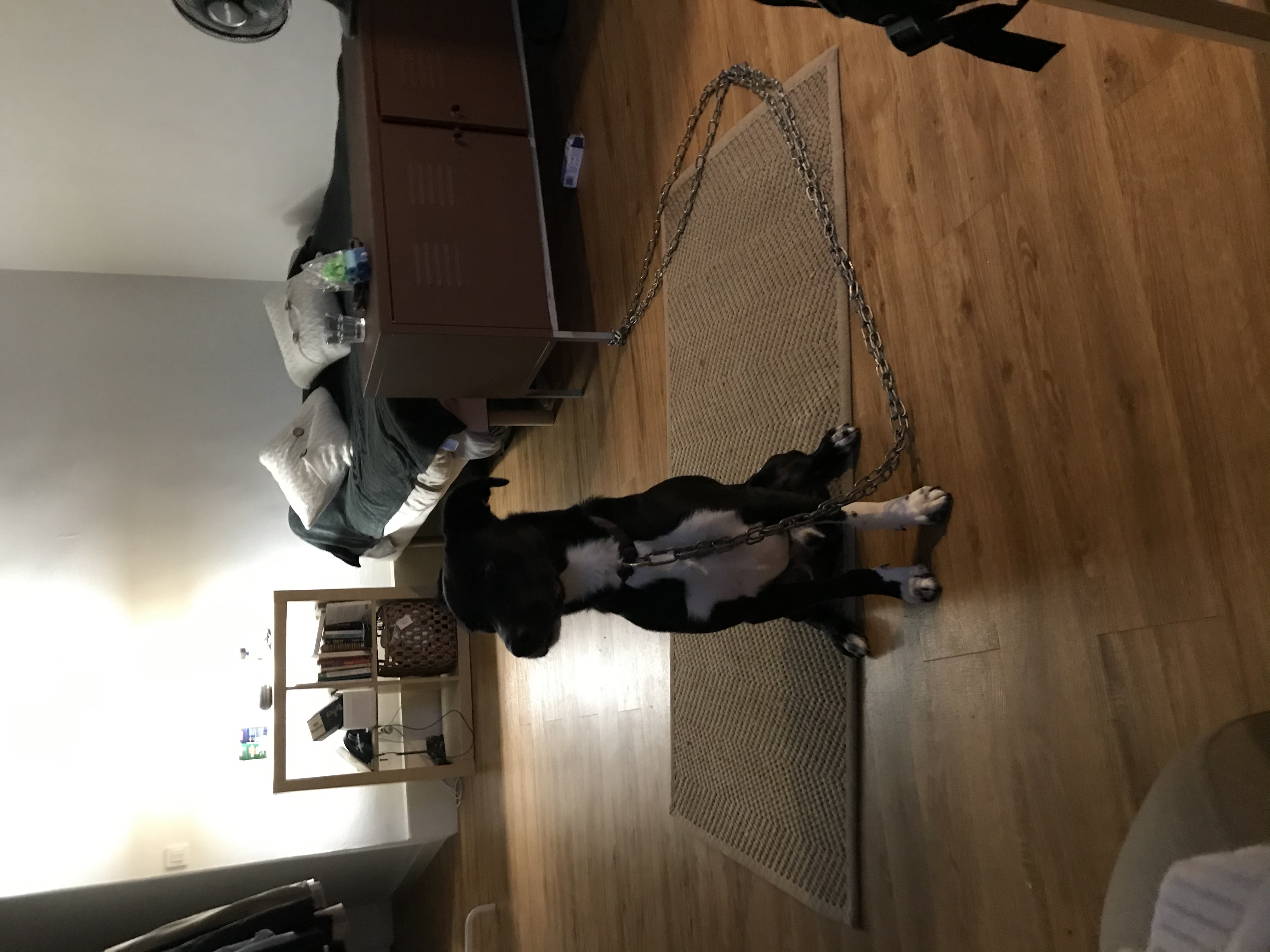 image-11