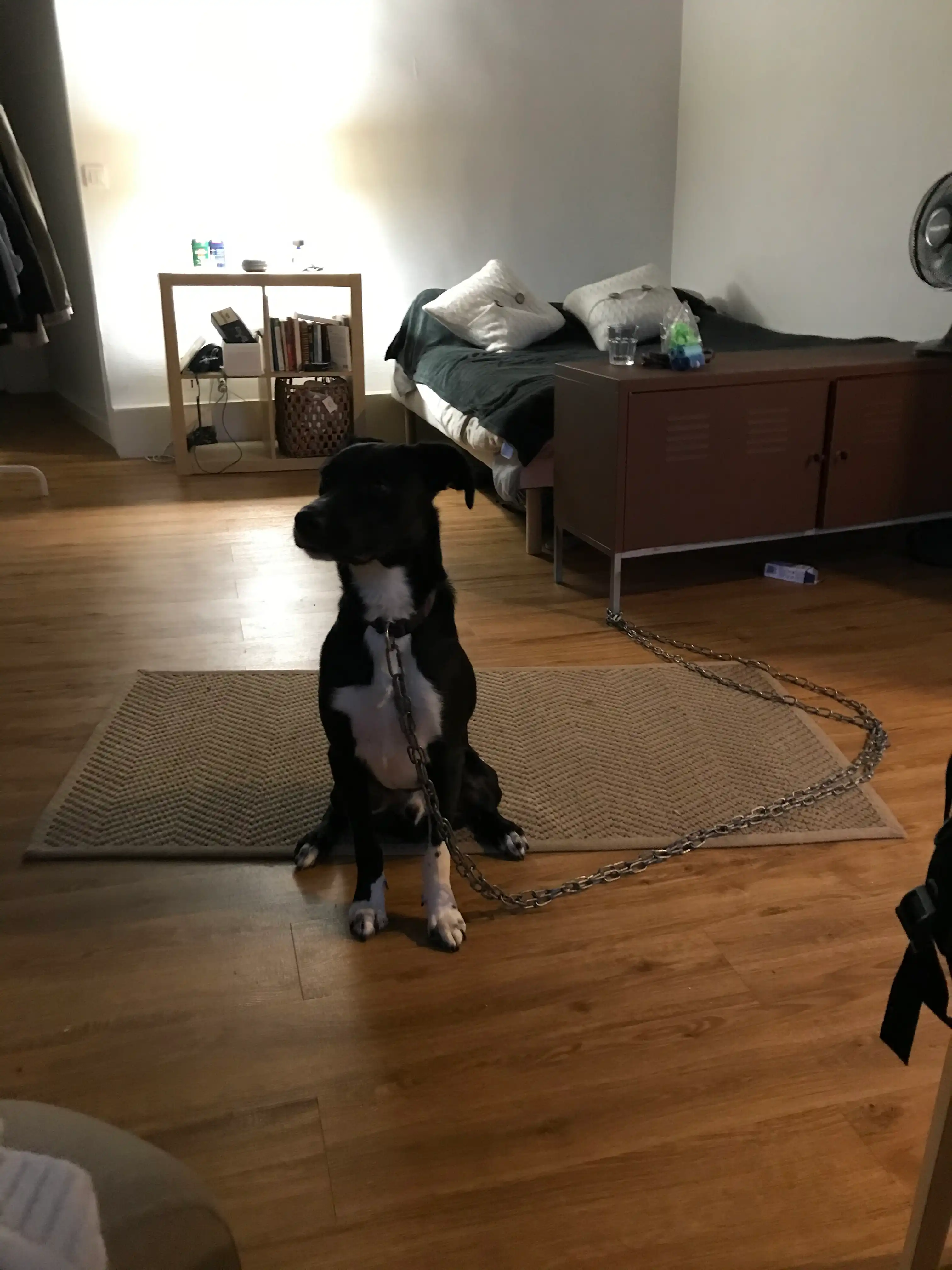 image-11