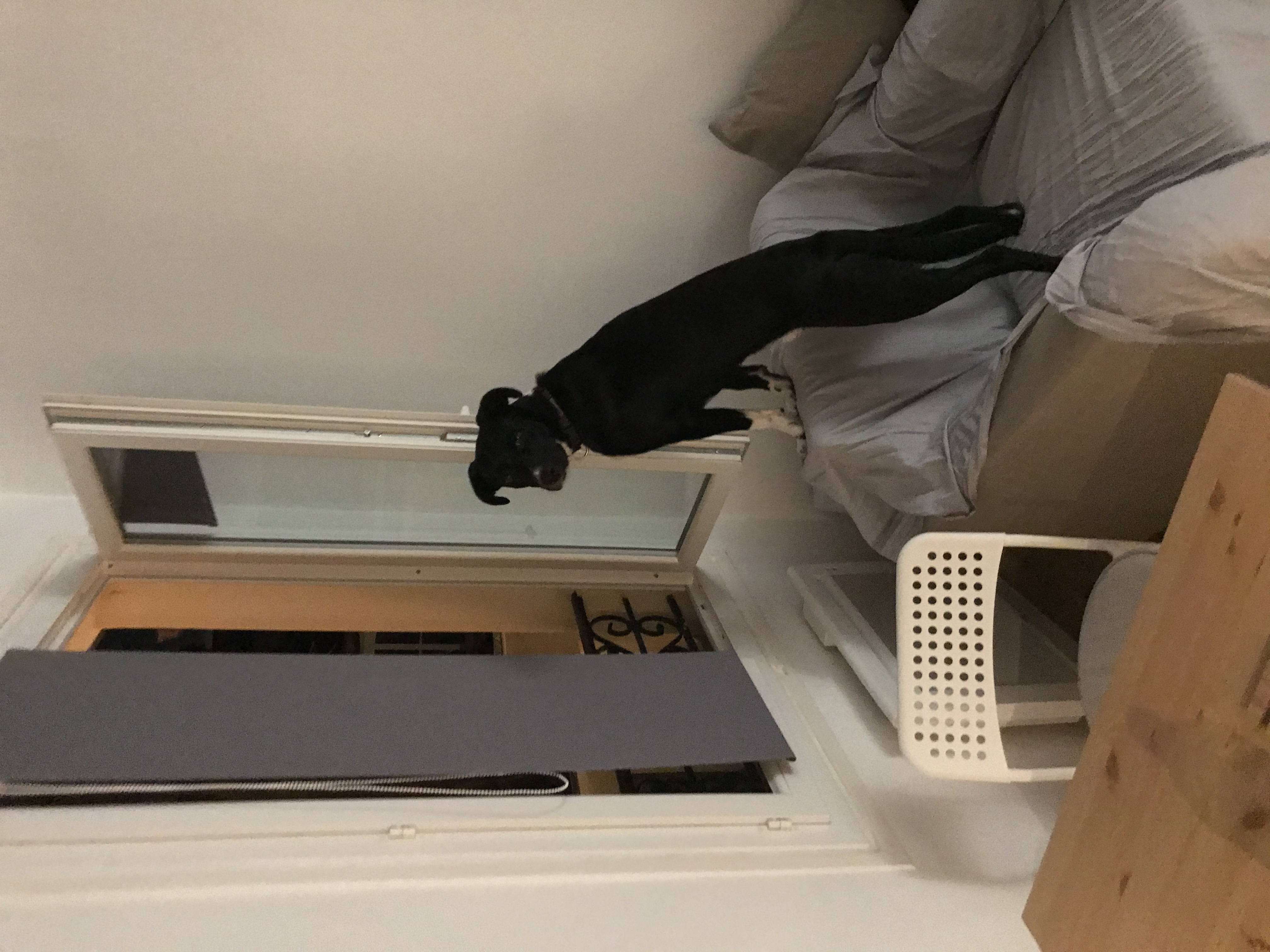 image-9