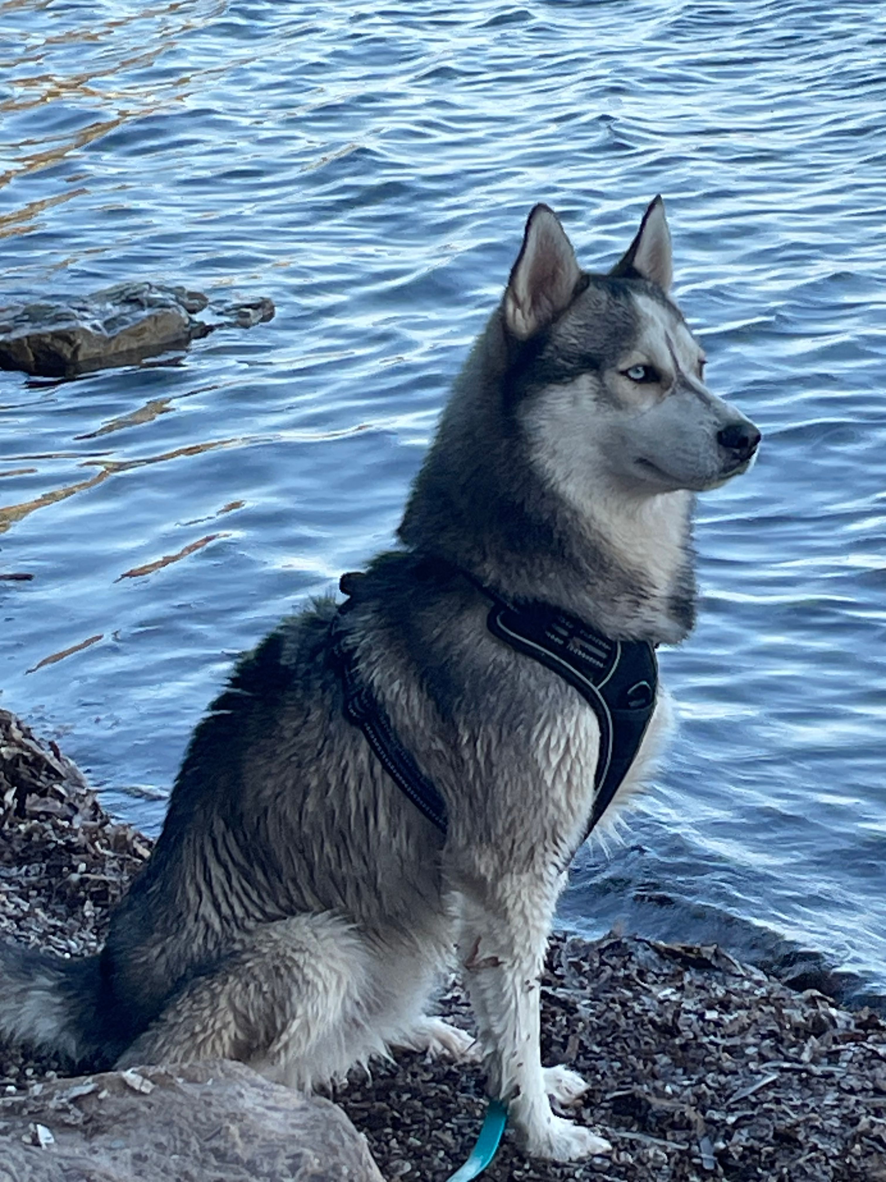 image-11