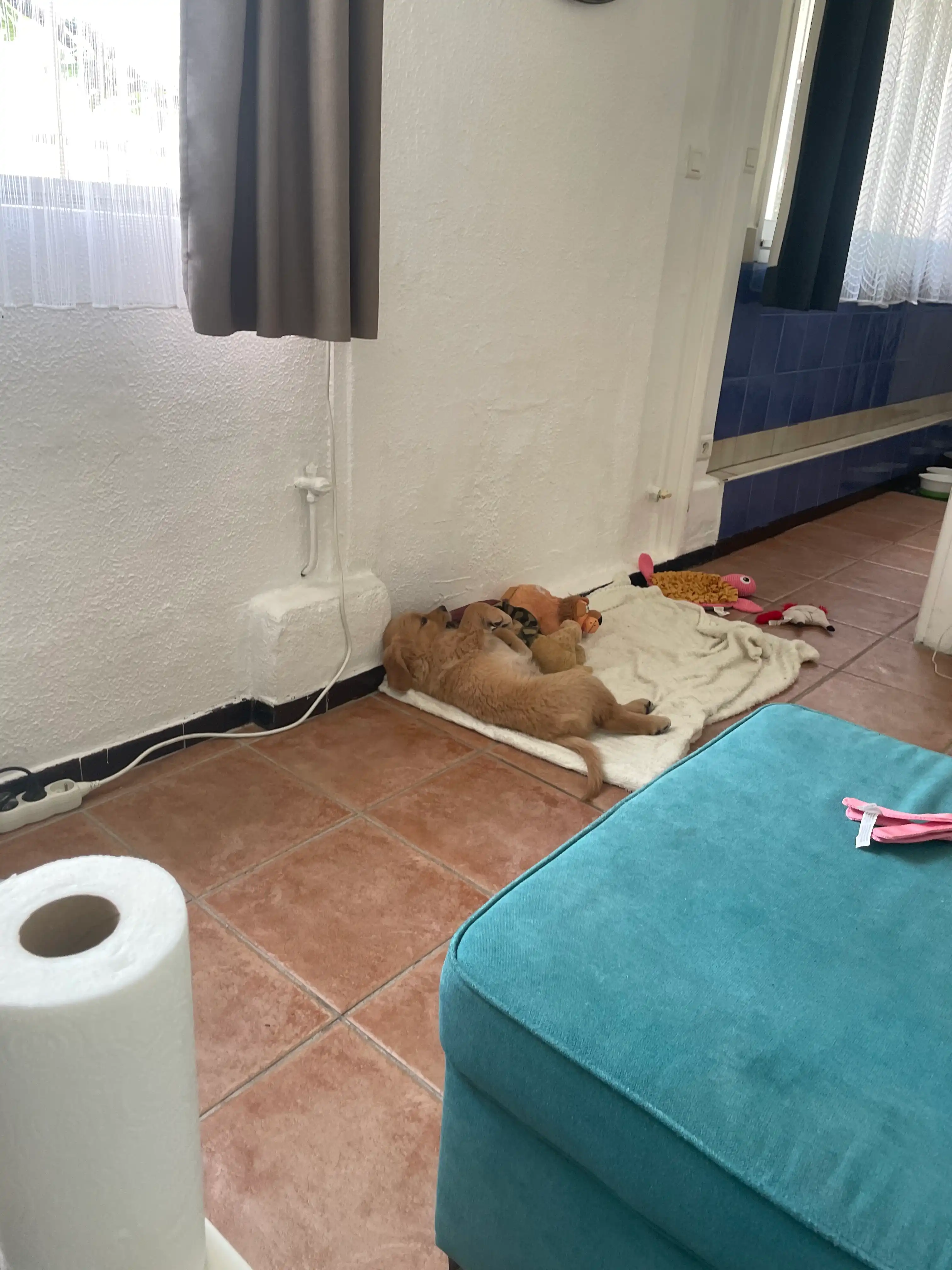image-18