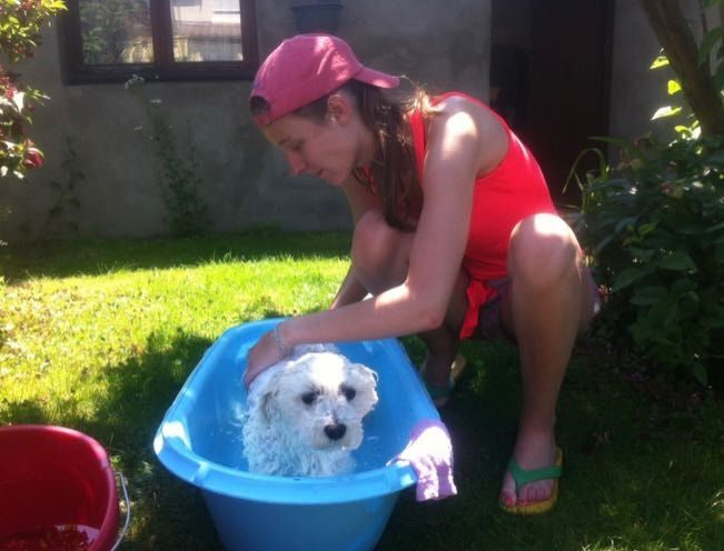 image-5