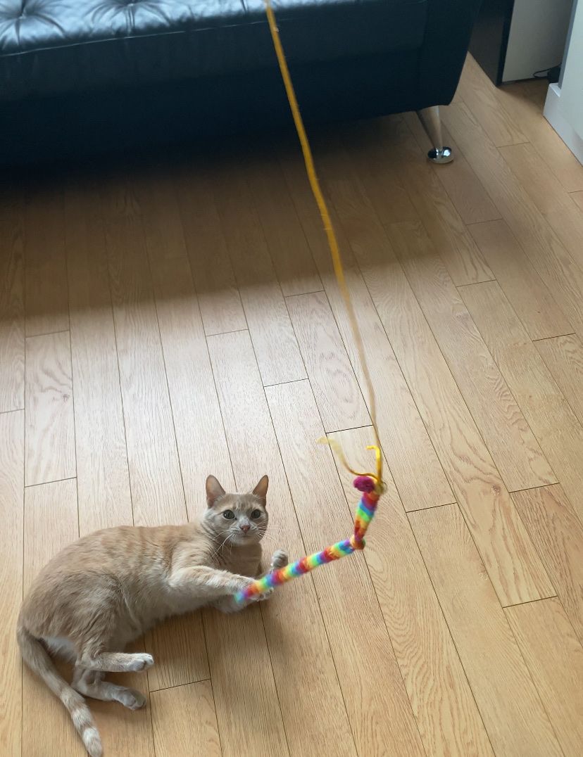 image-8