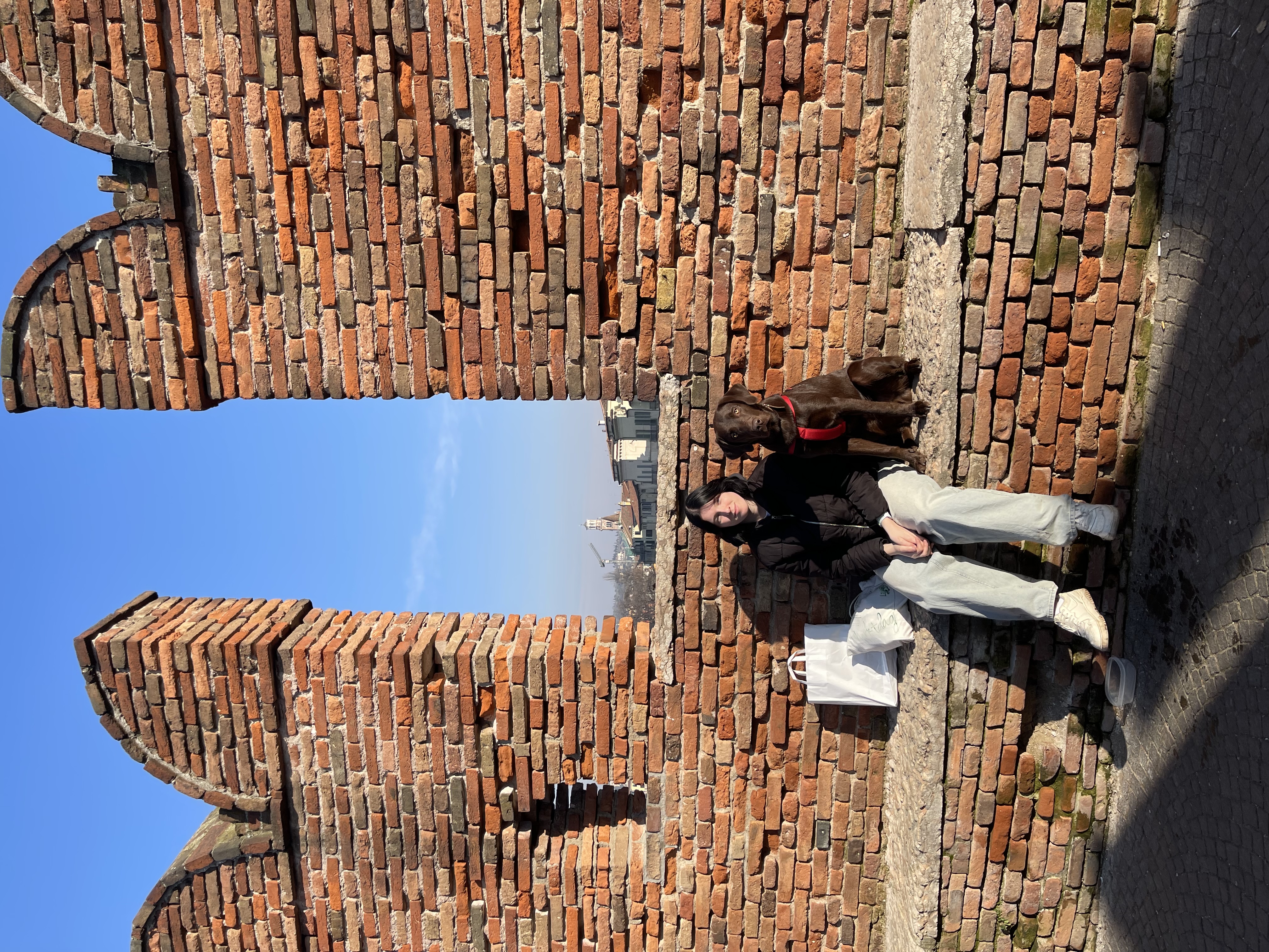 image-11