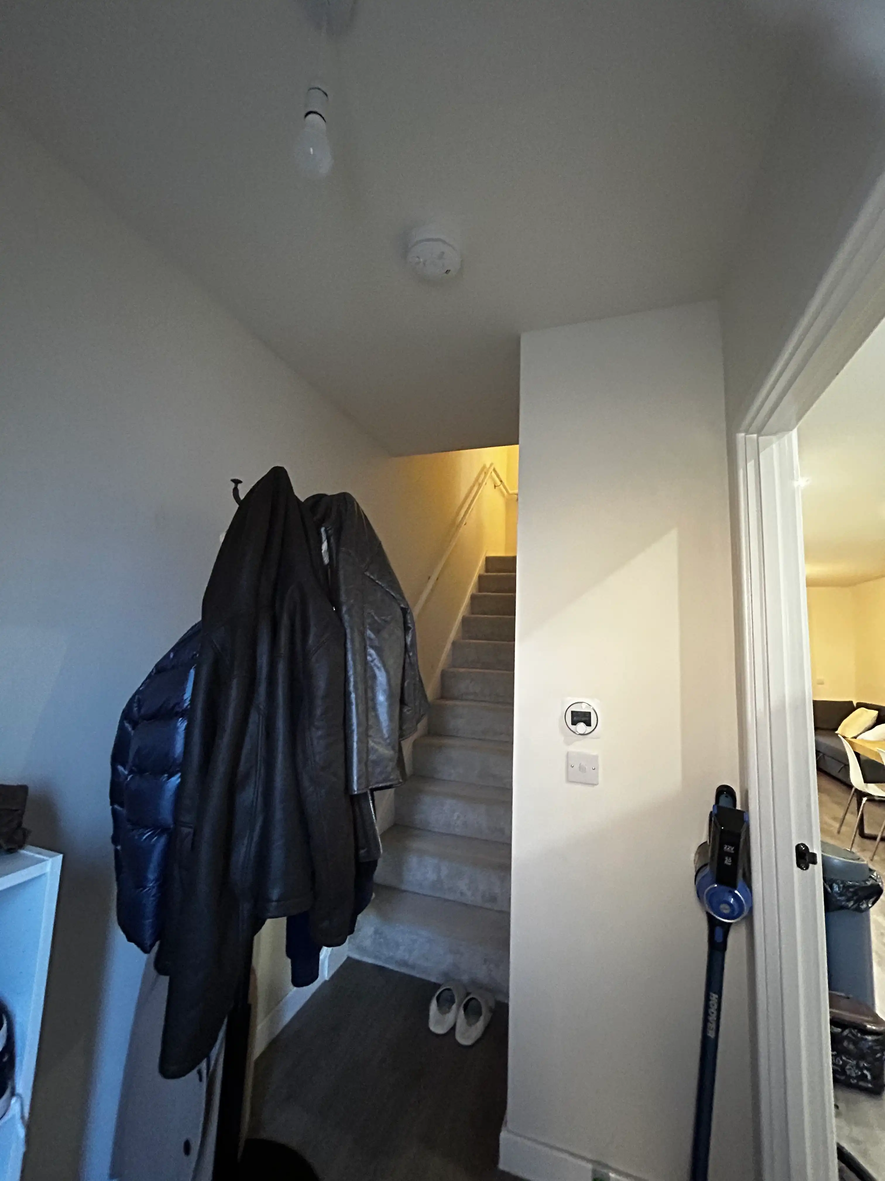 image-19