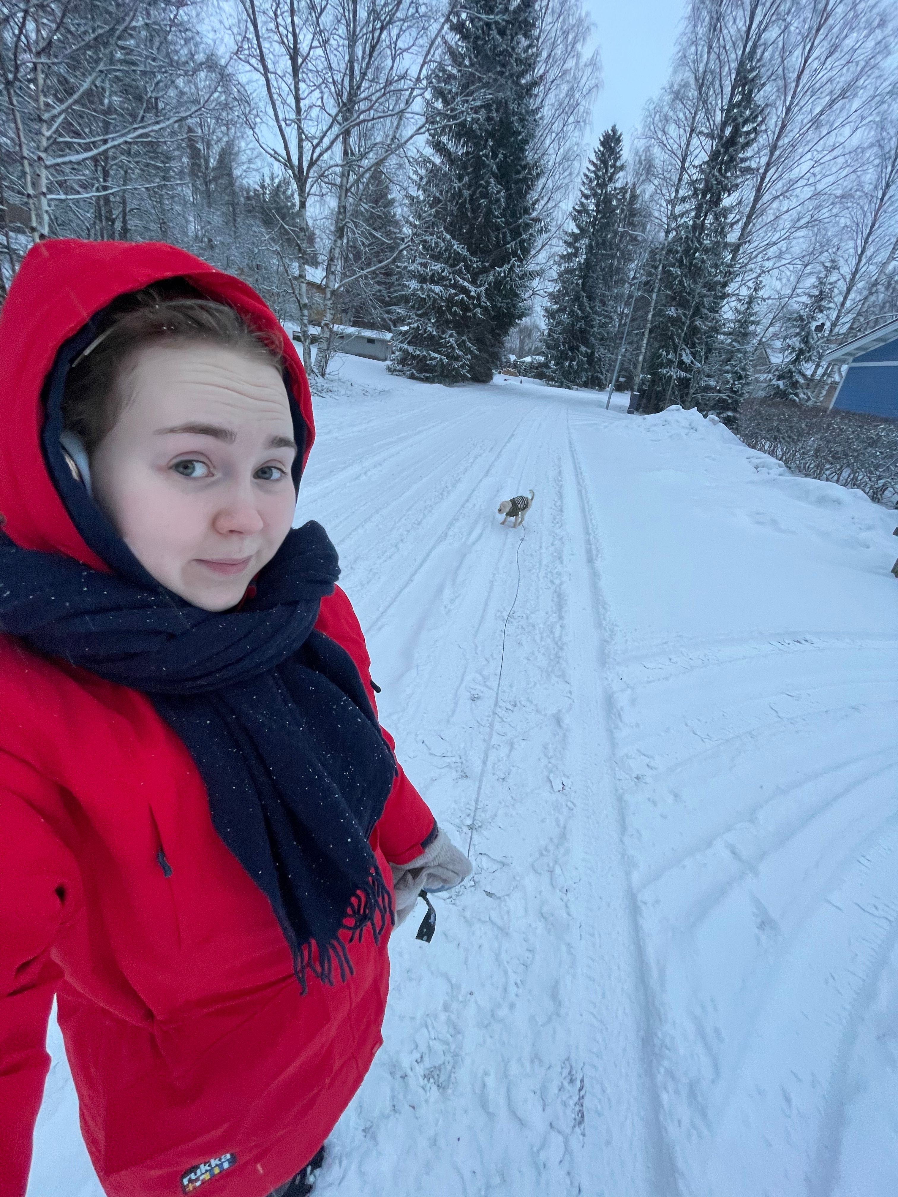 image-2