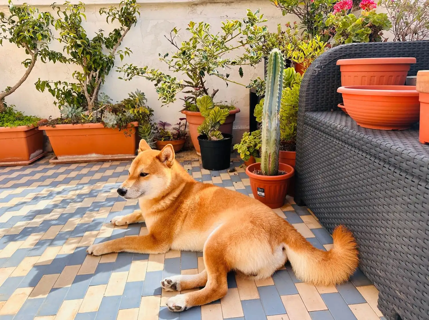 image-18