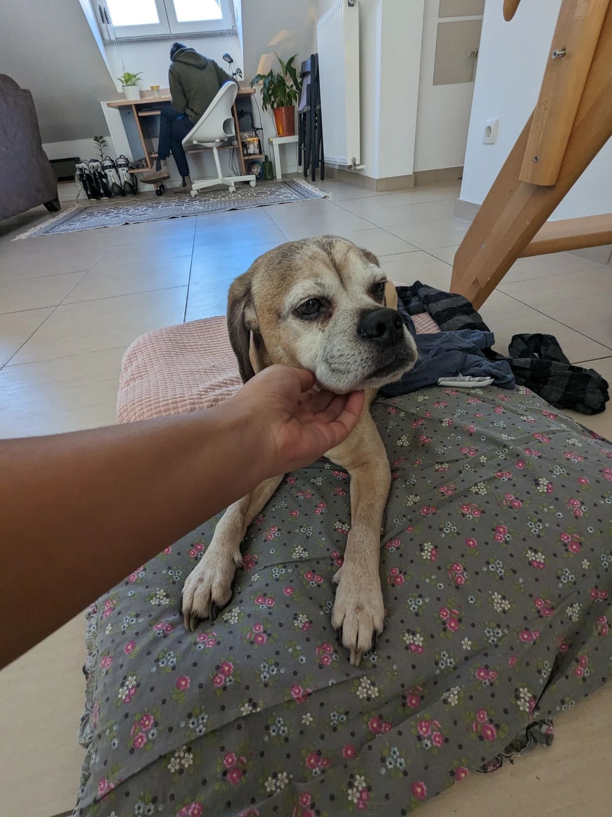 image-21