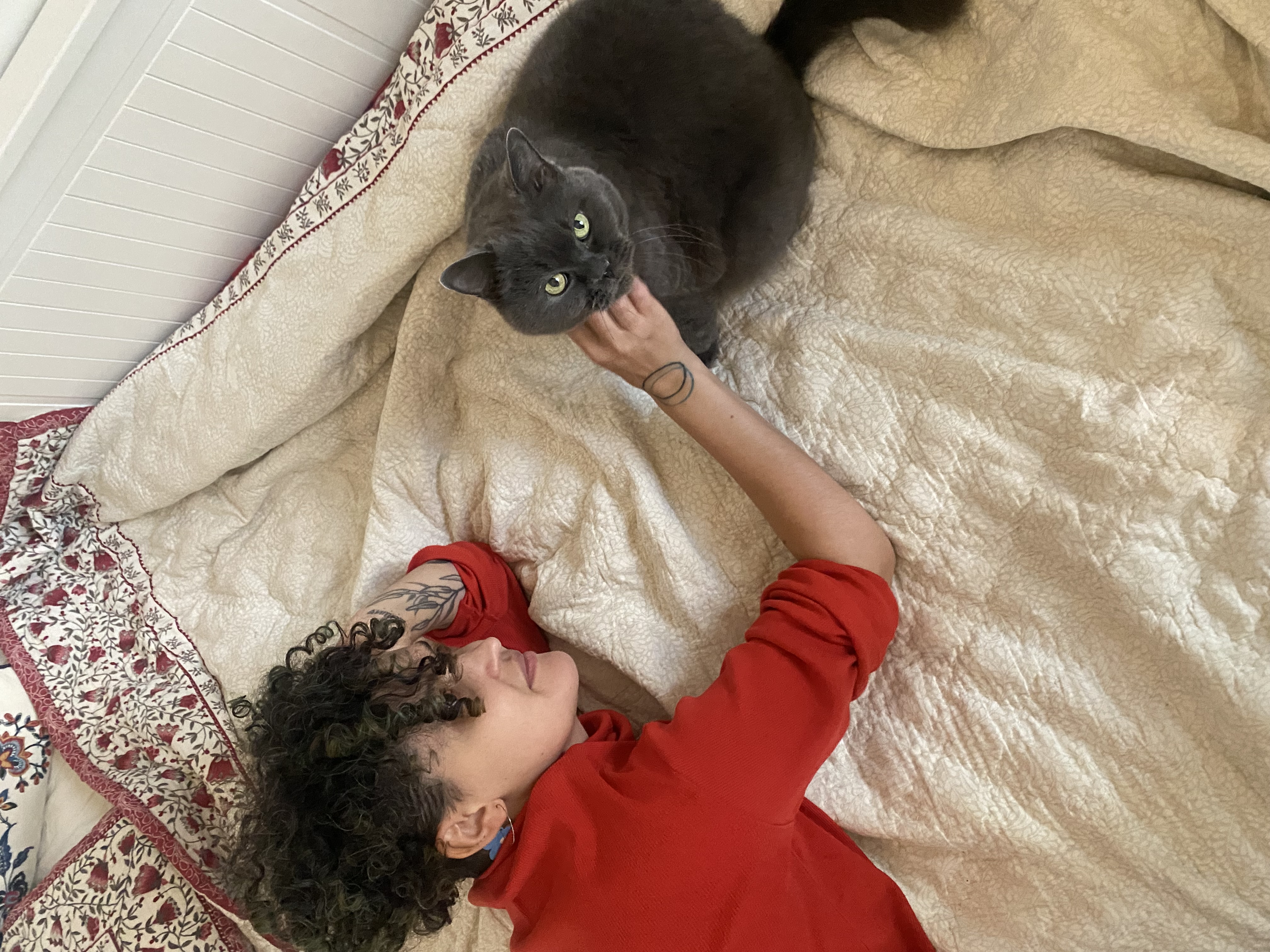 image-8