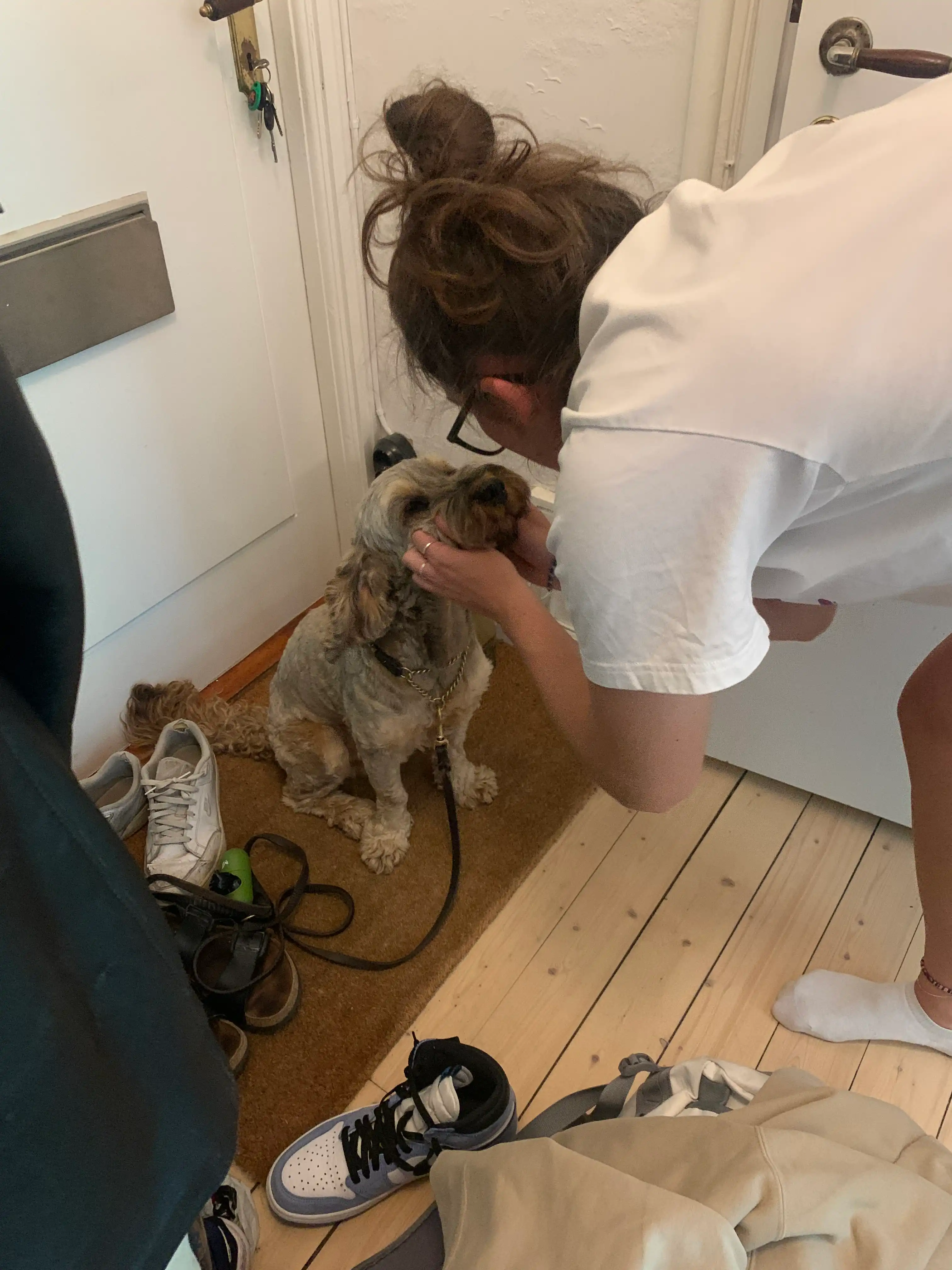 image-9