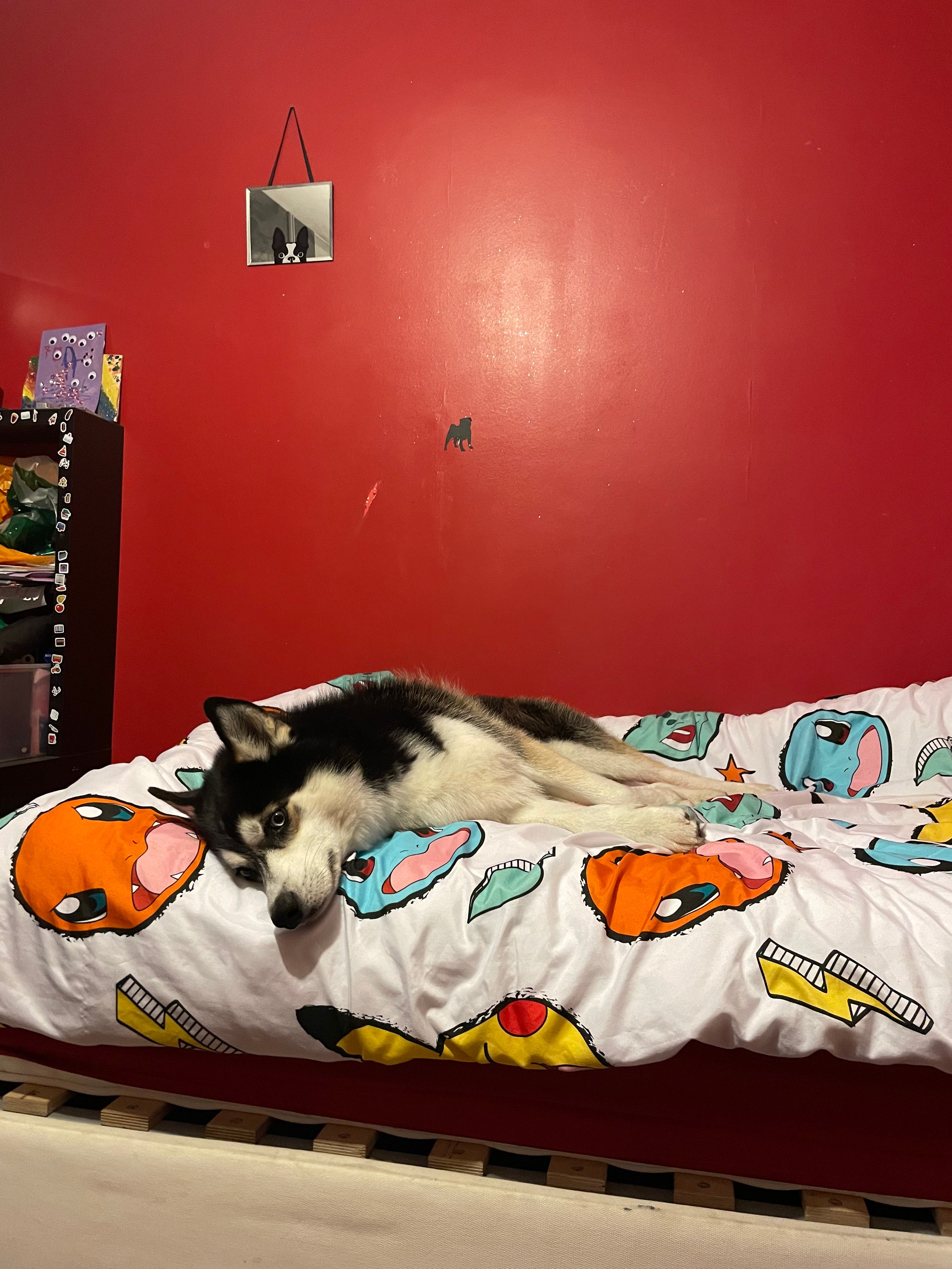 image-11