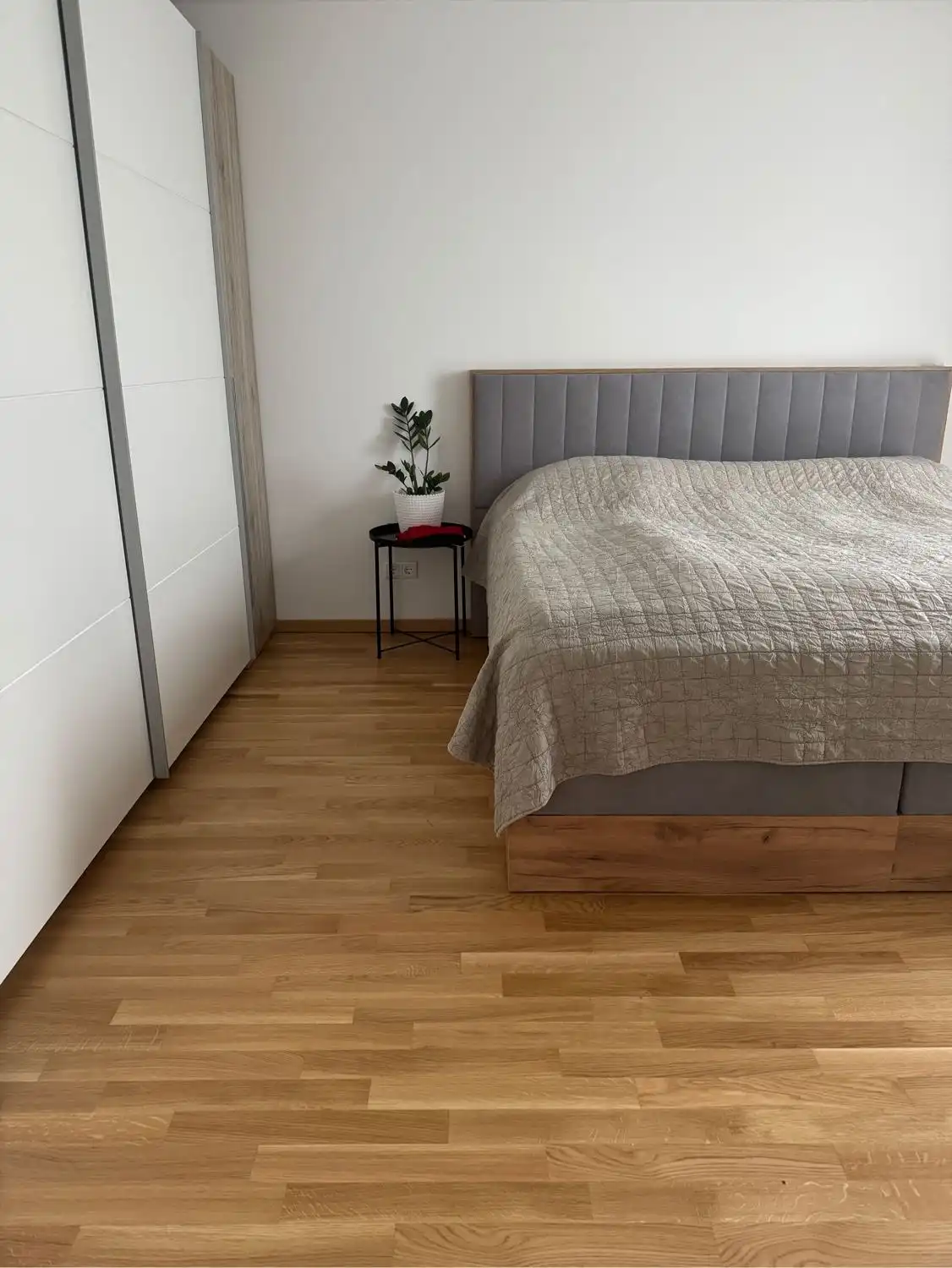 image-19