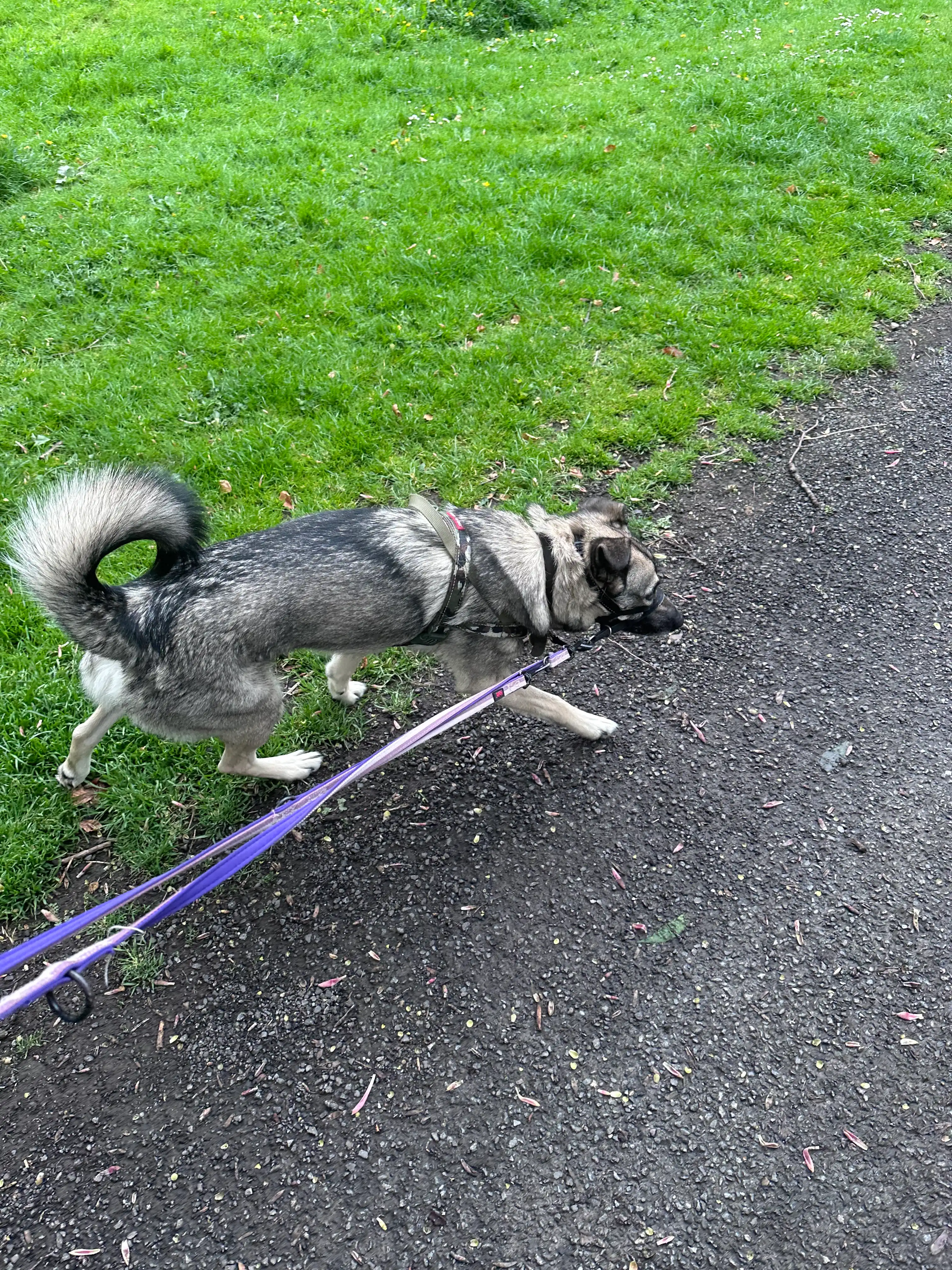 image-19