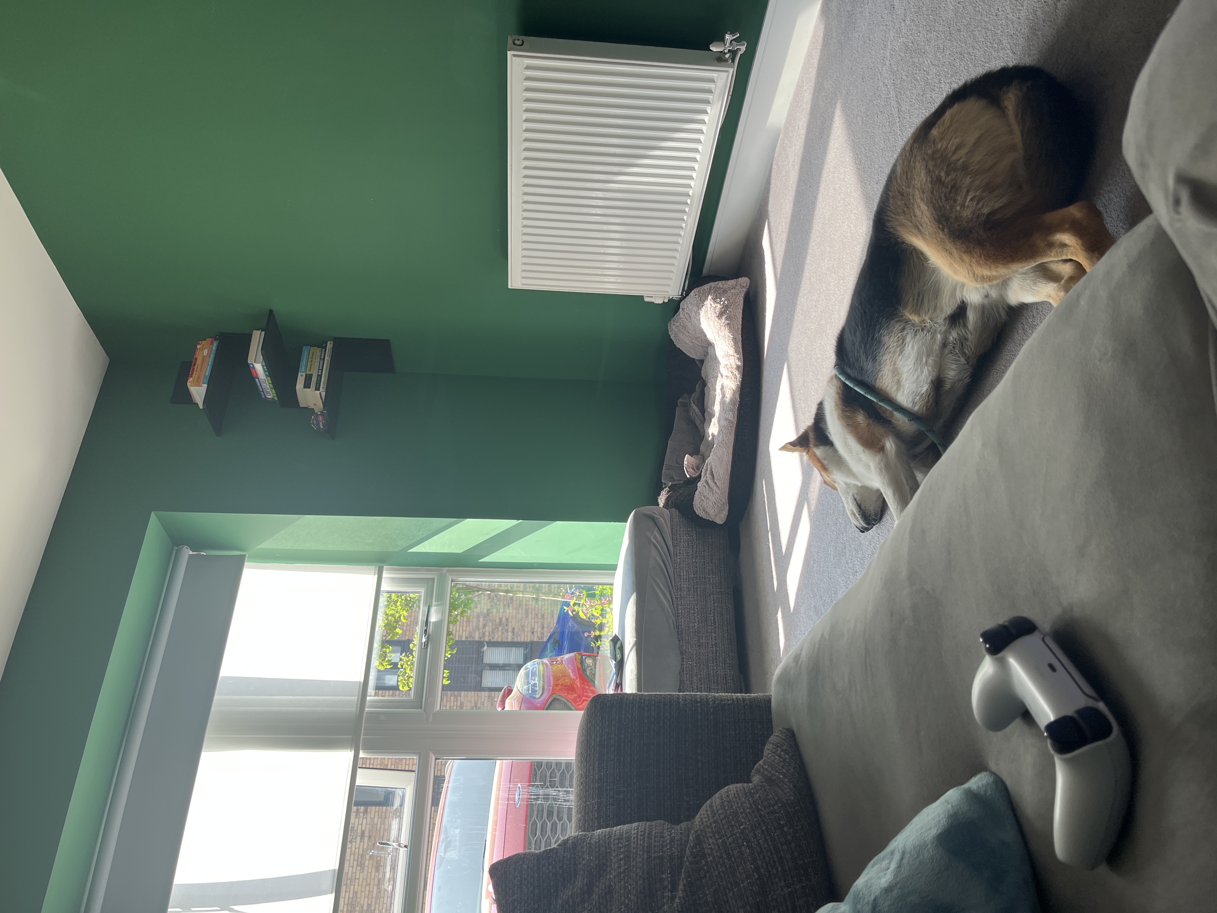 image-14