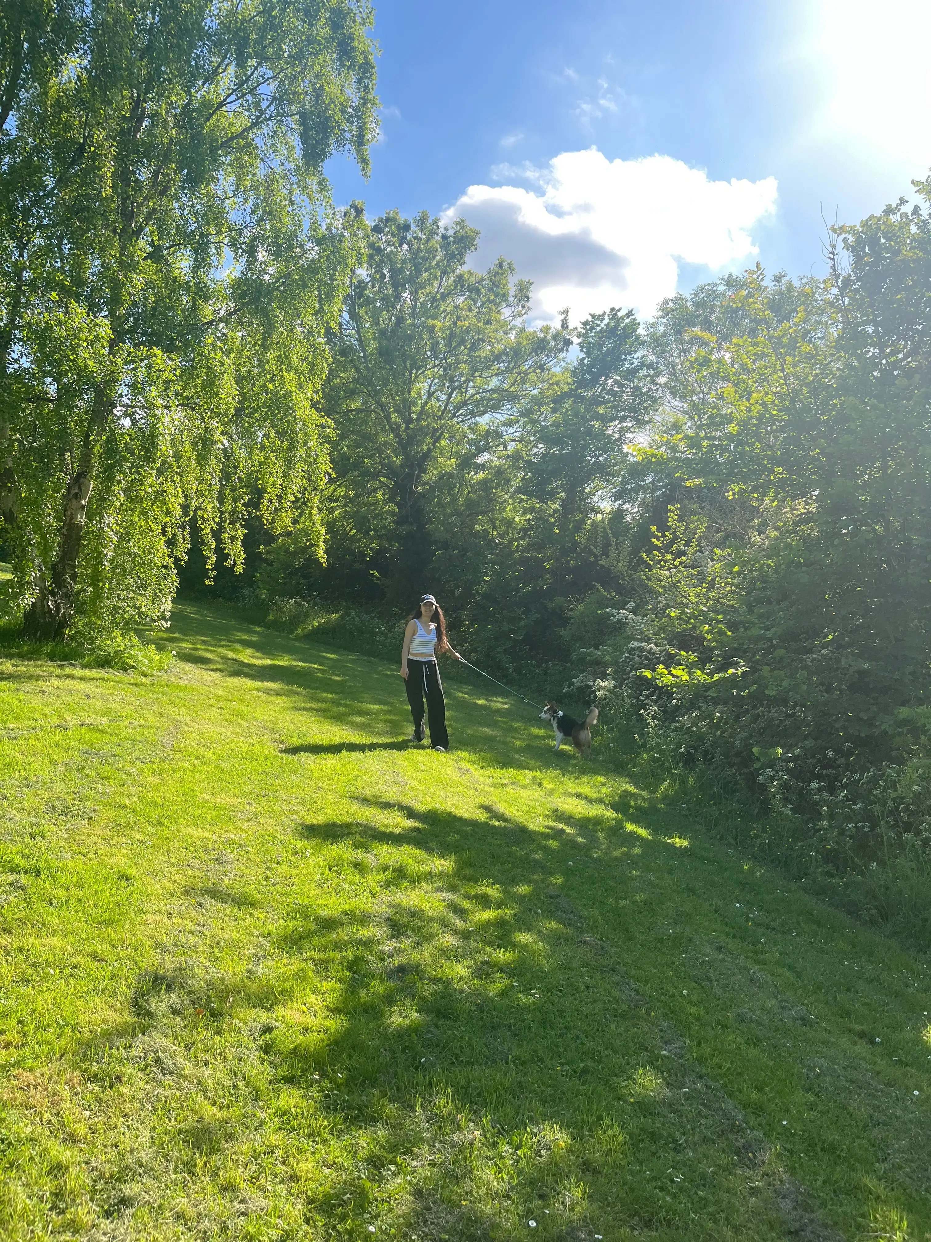 image-5