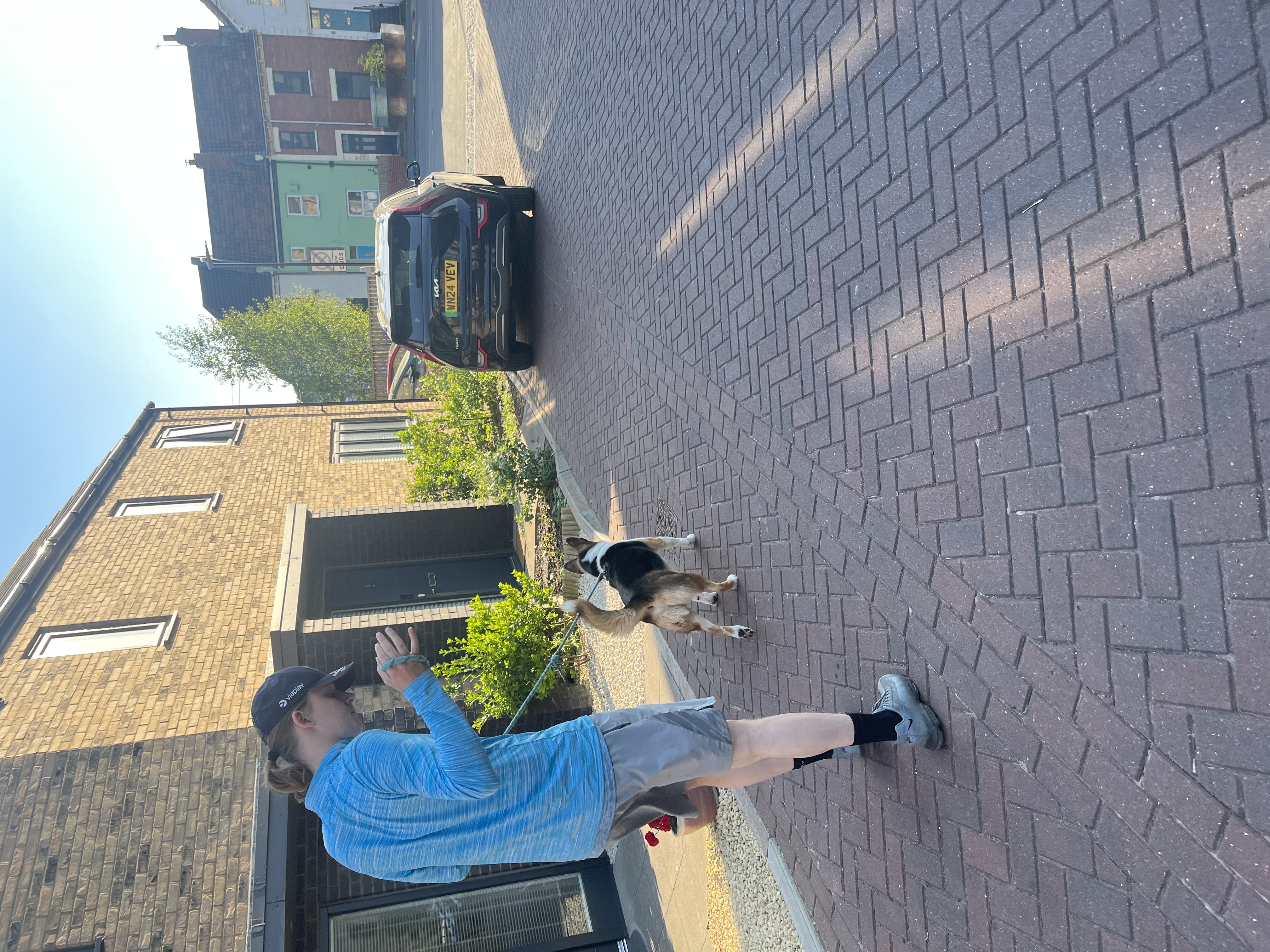 image-15