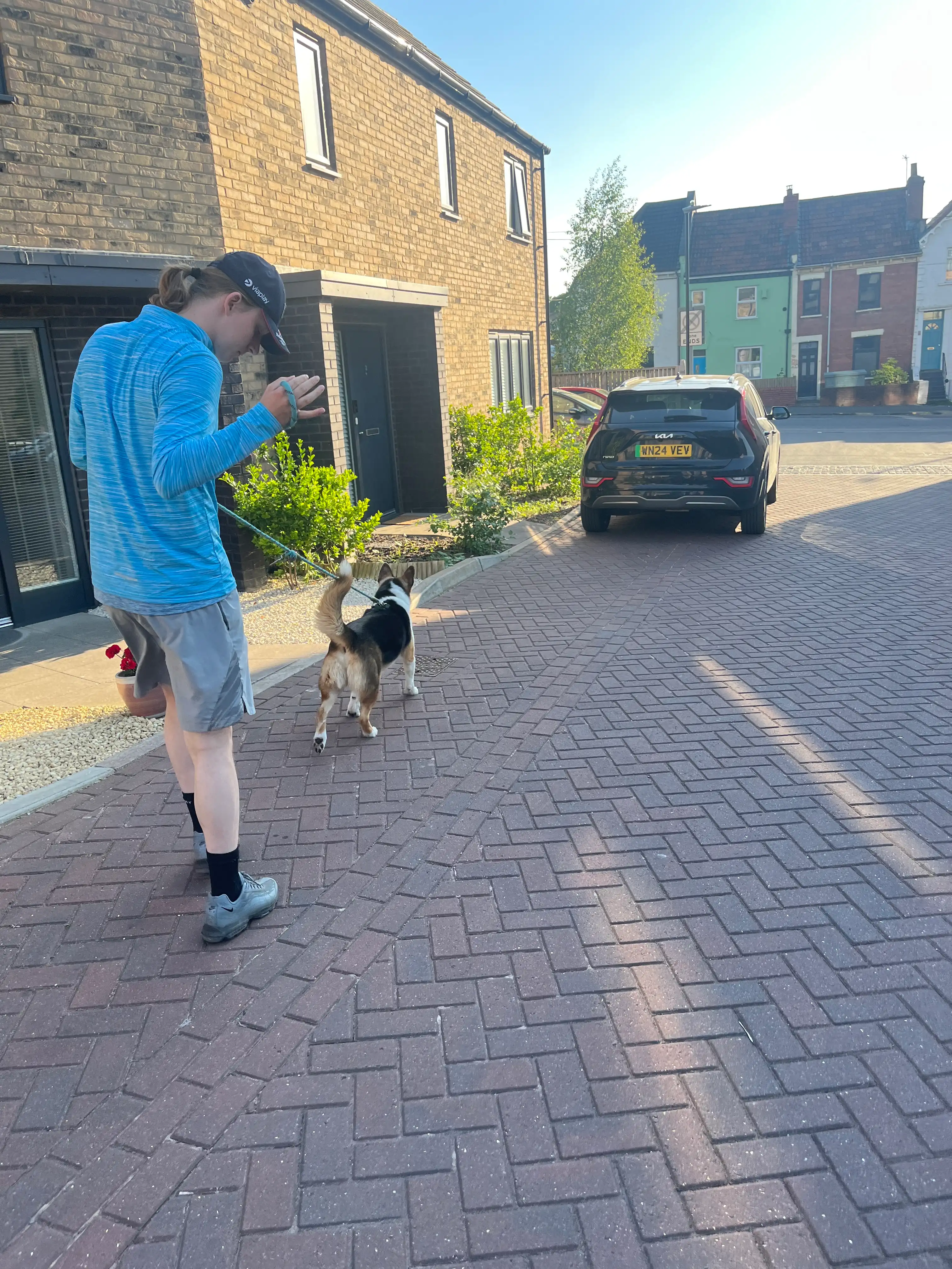 image-15