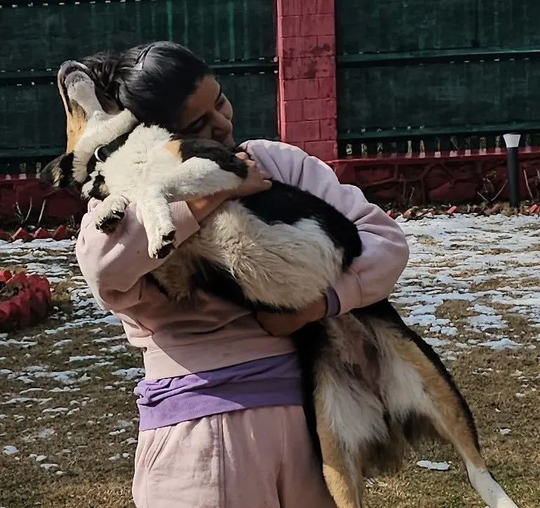 image-4