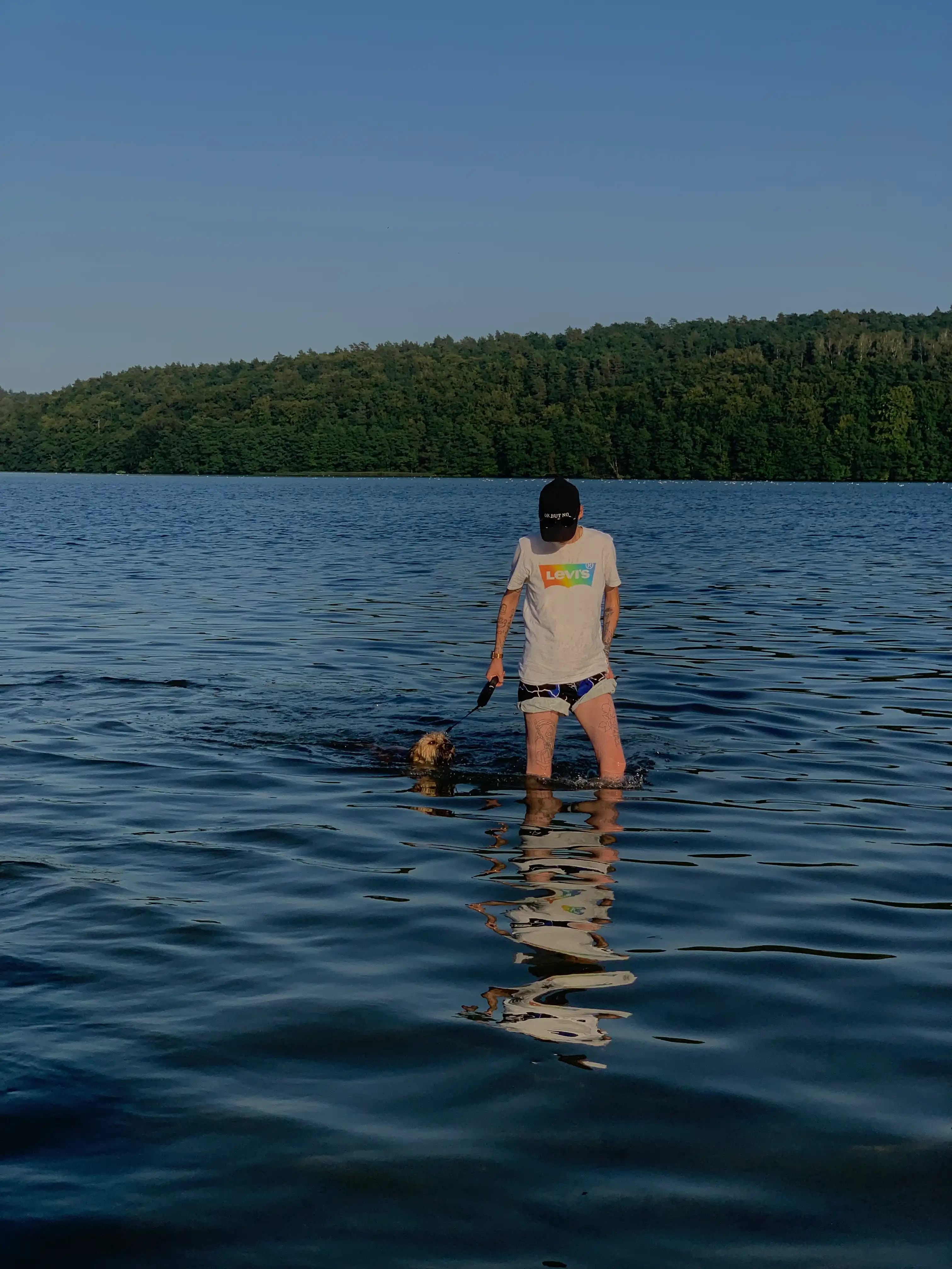 image-9