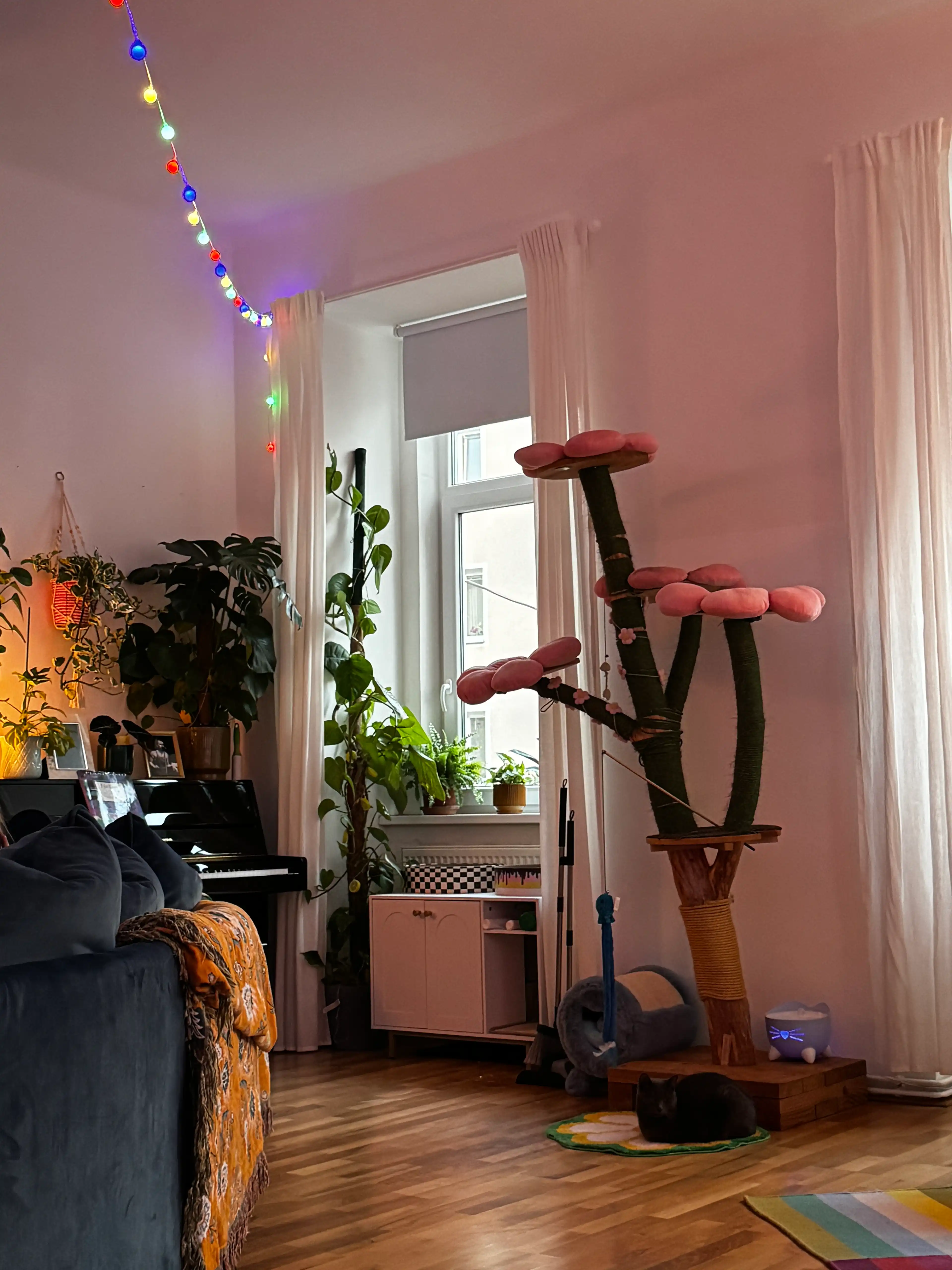 image-14