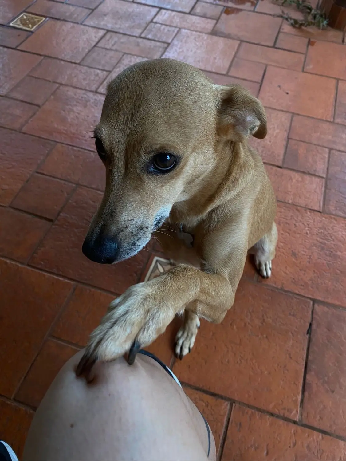 image-2