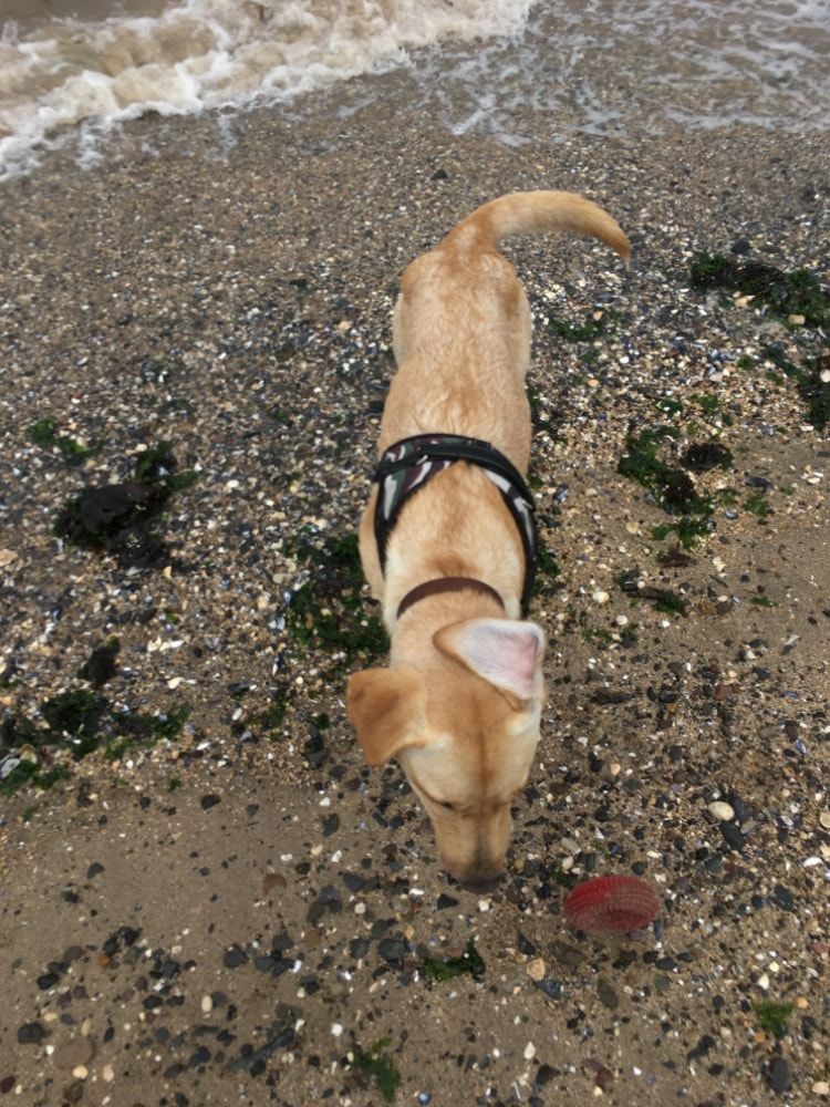 image-3