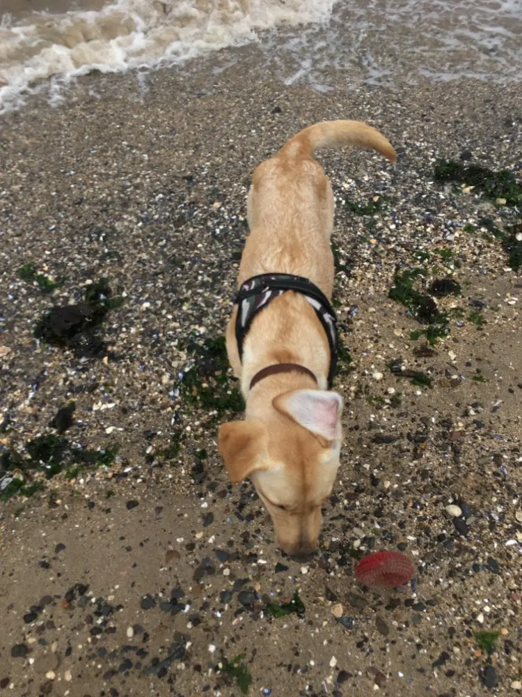 image-3