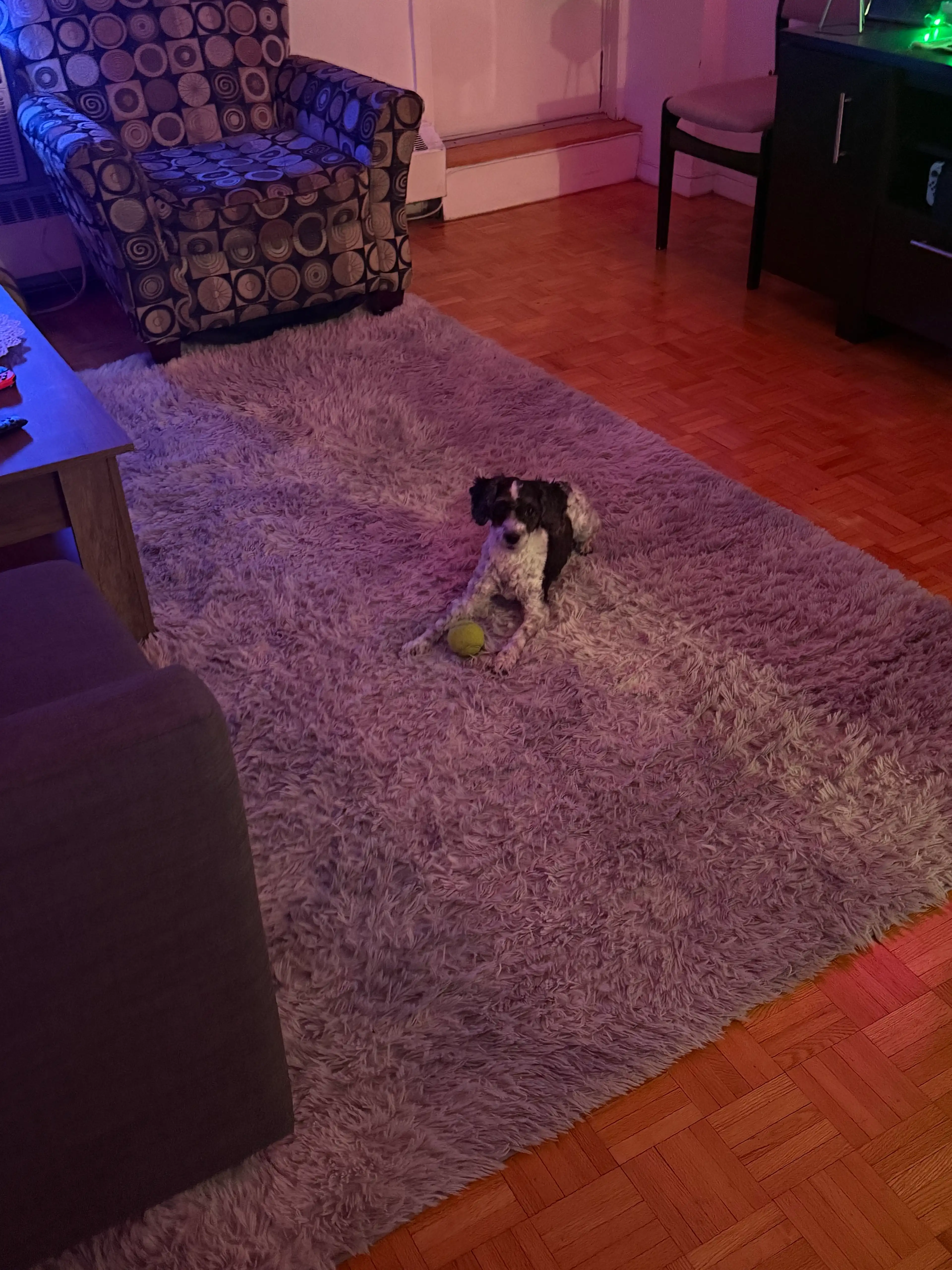 image-19