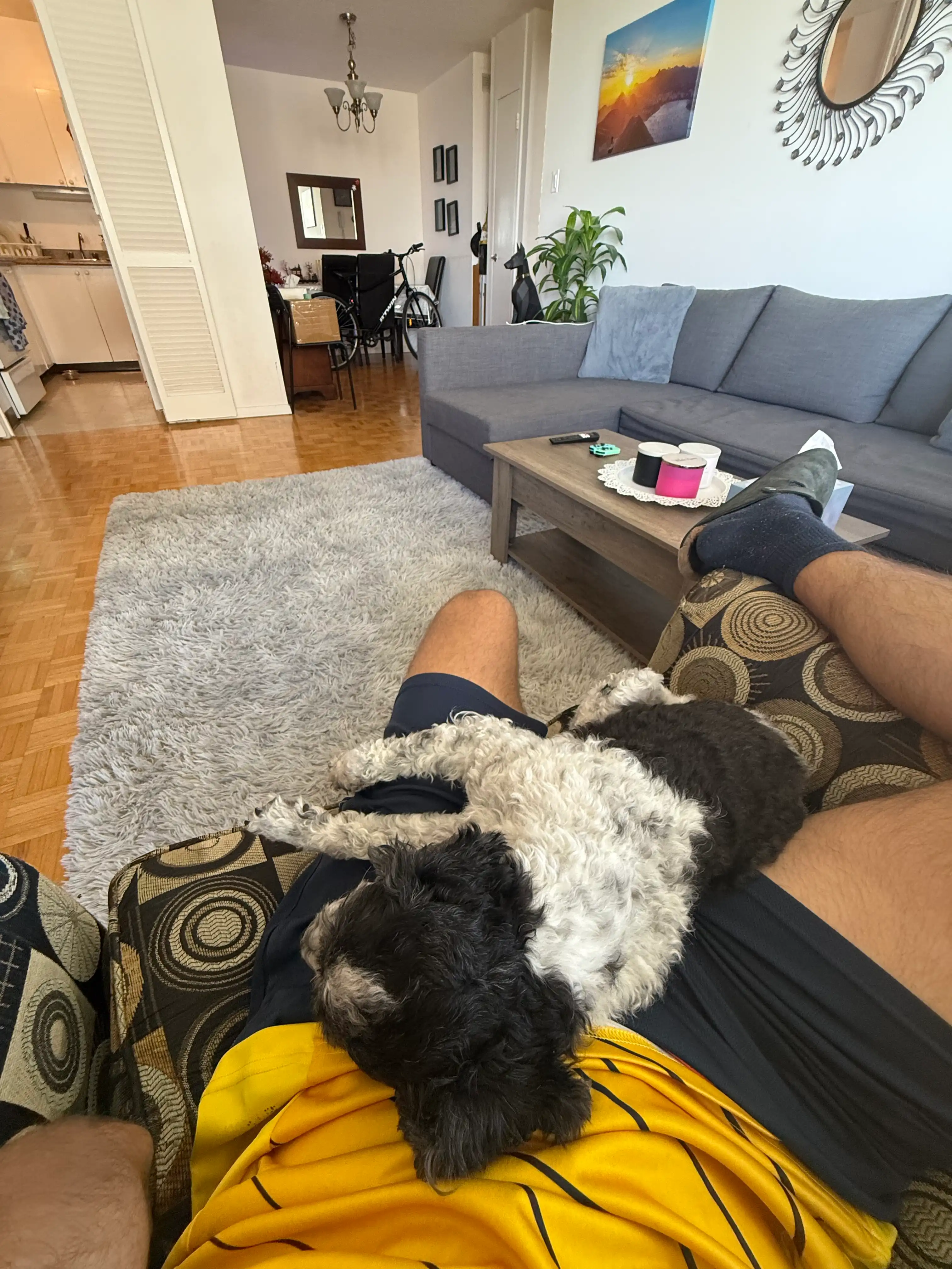 image-16
