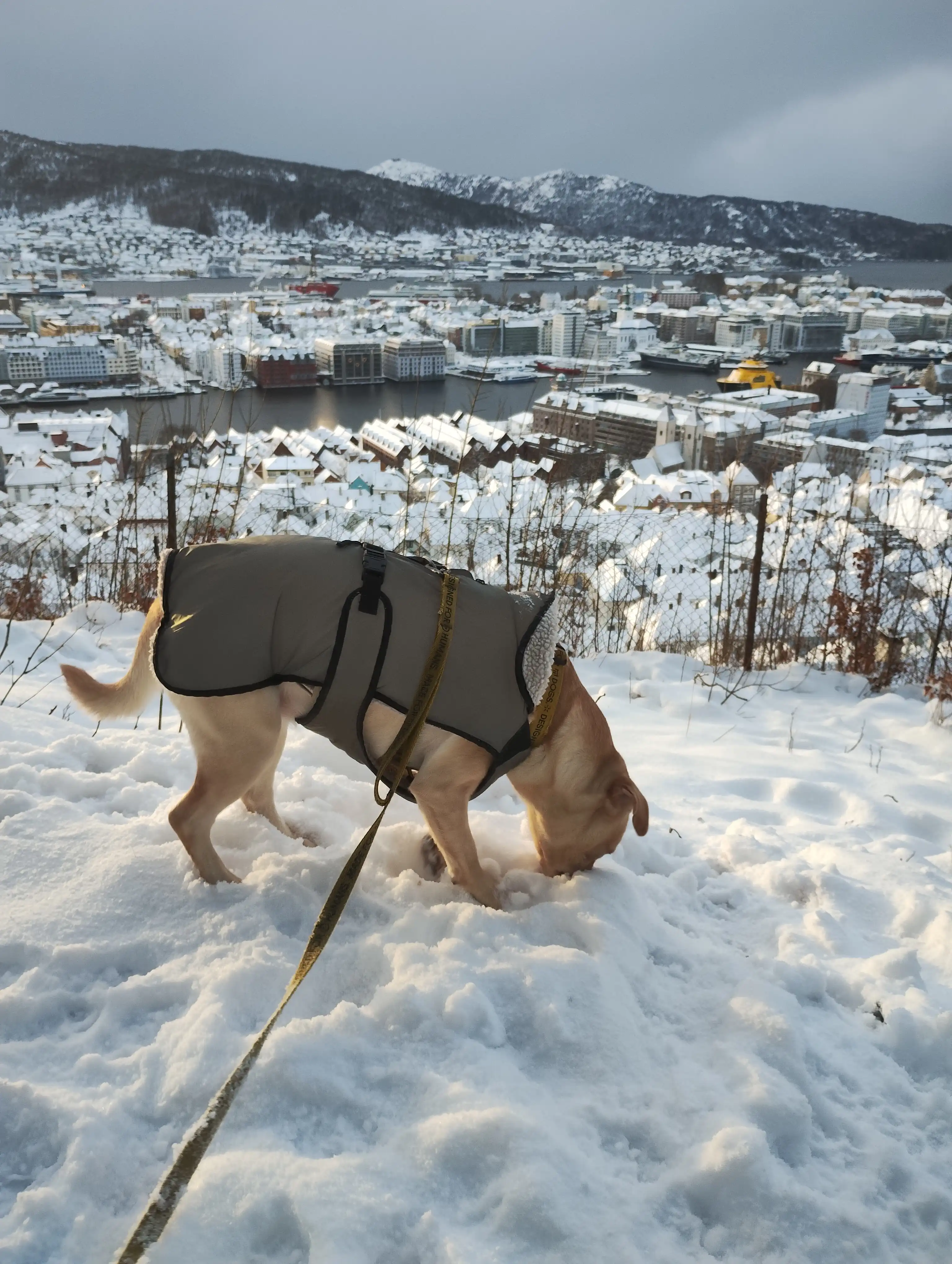 image-9