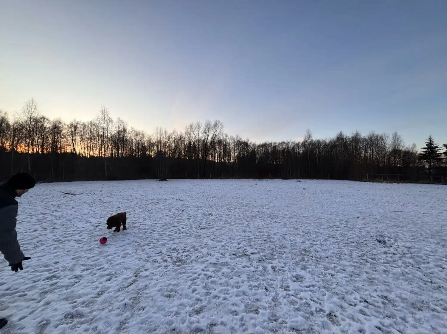 image-12