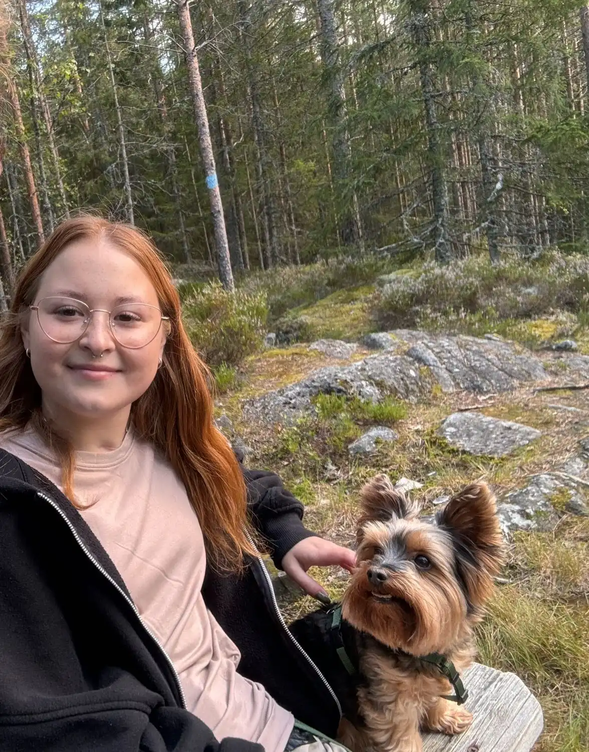 image-6