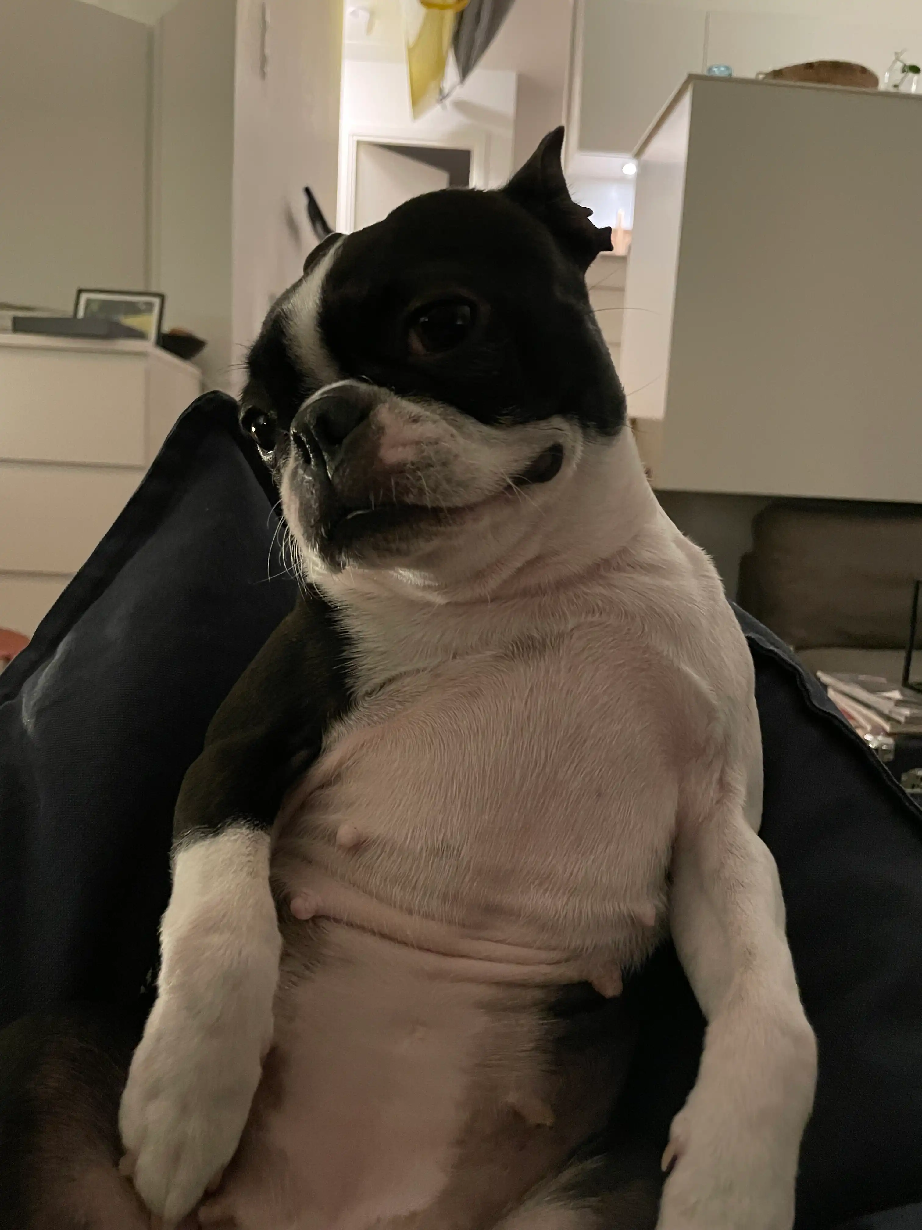 image-12
