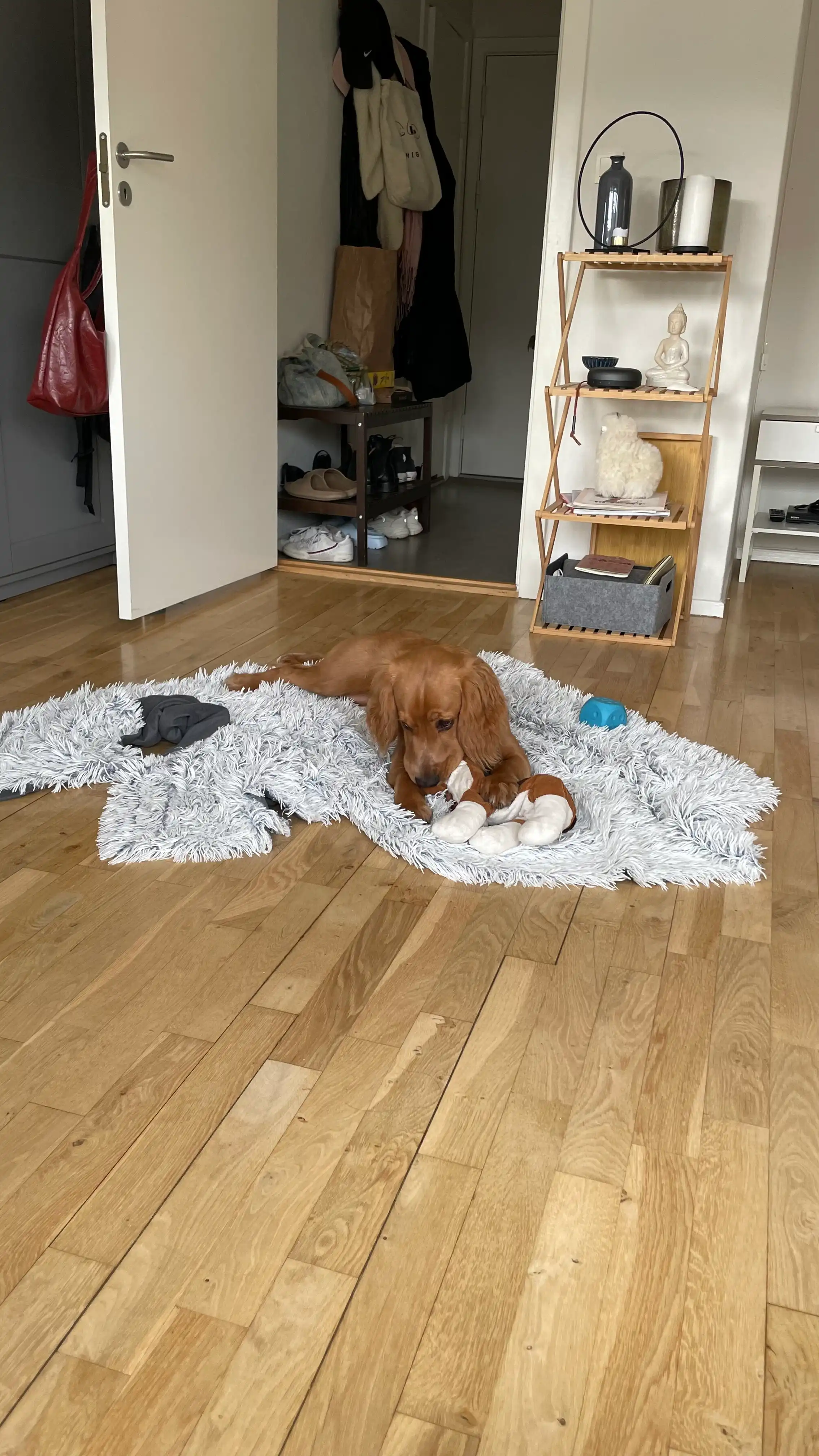 image-19