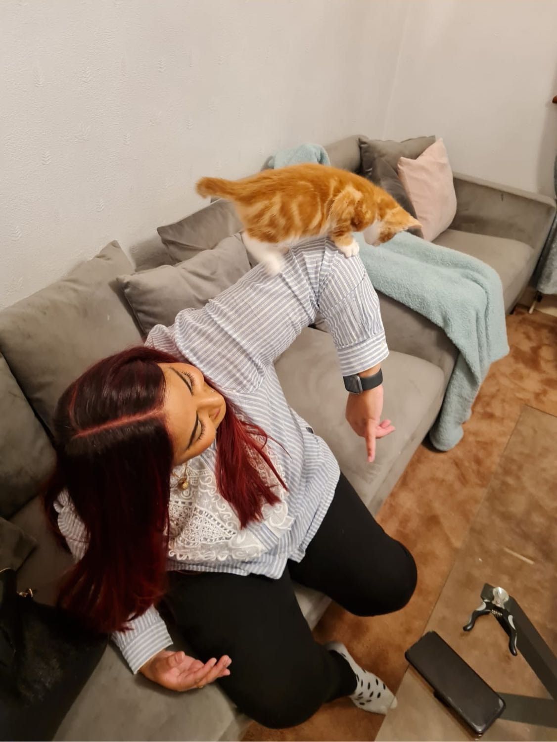 image-6