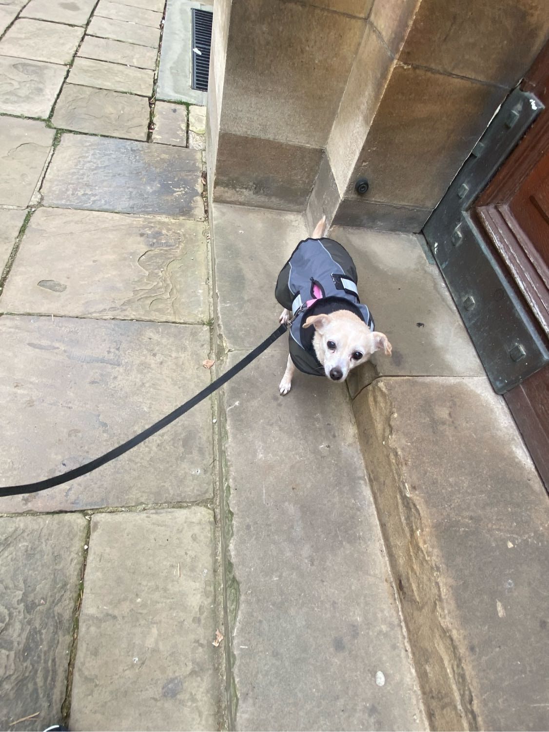 image-17