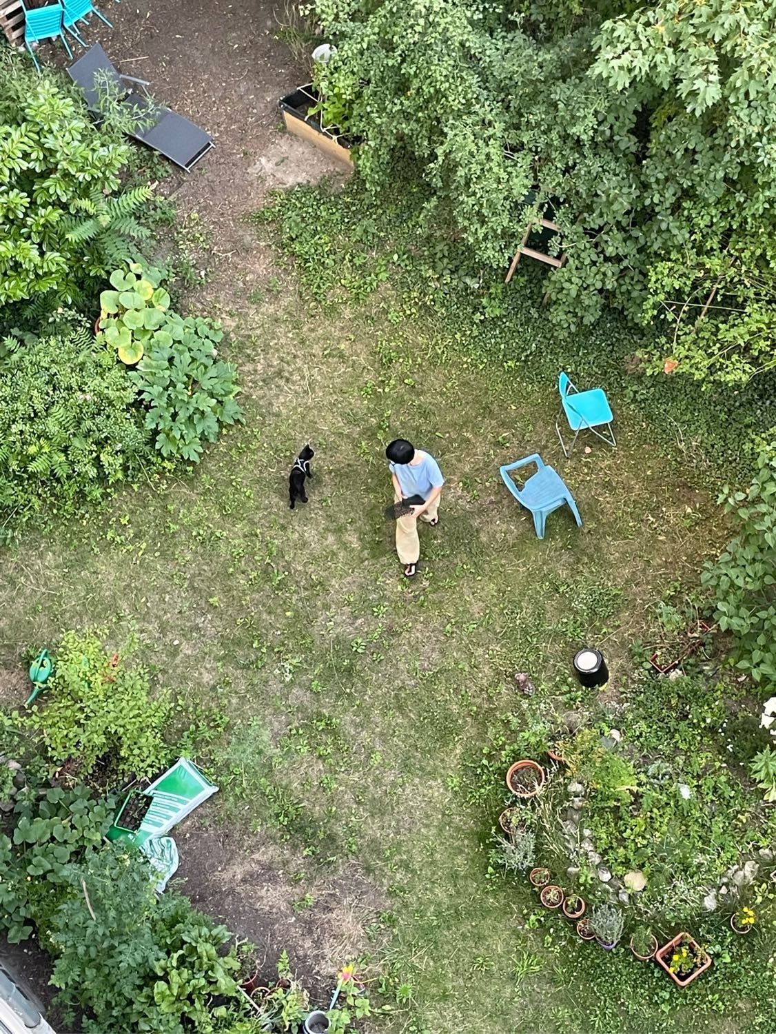 image-4