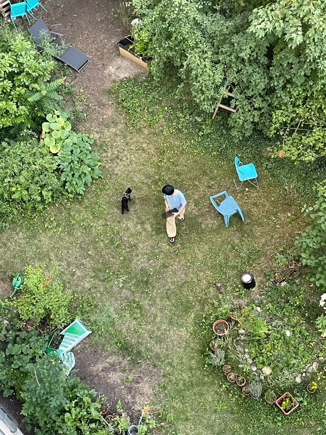 image-4