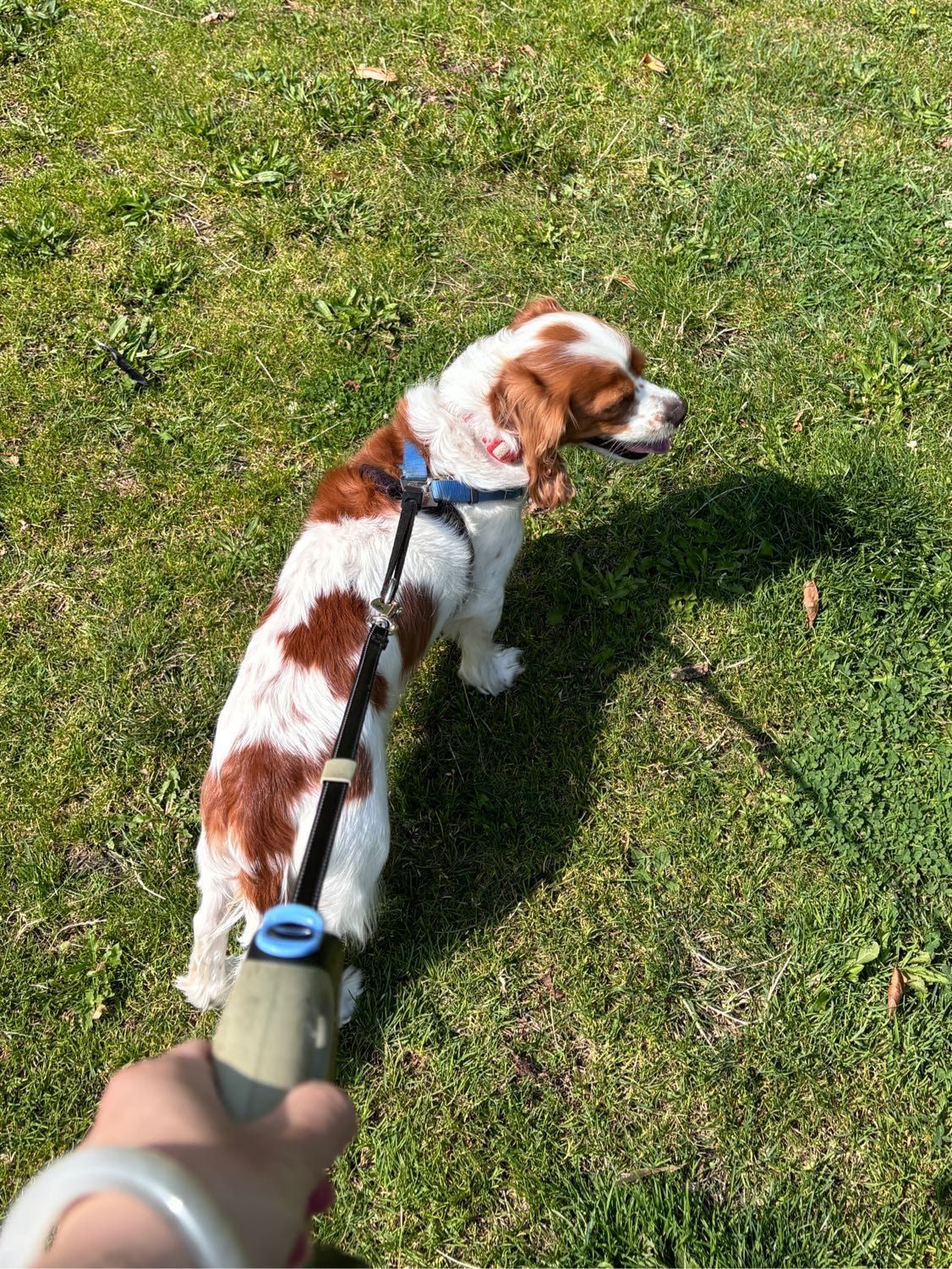image-6