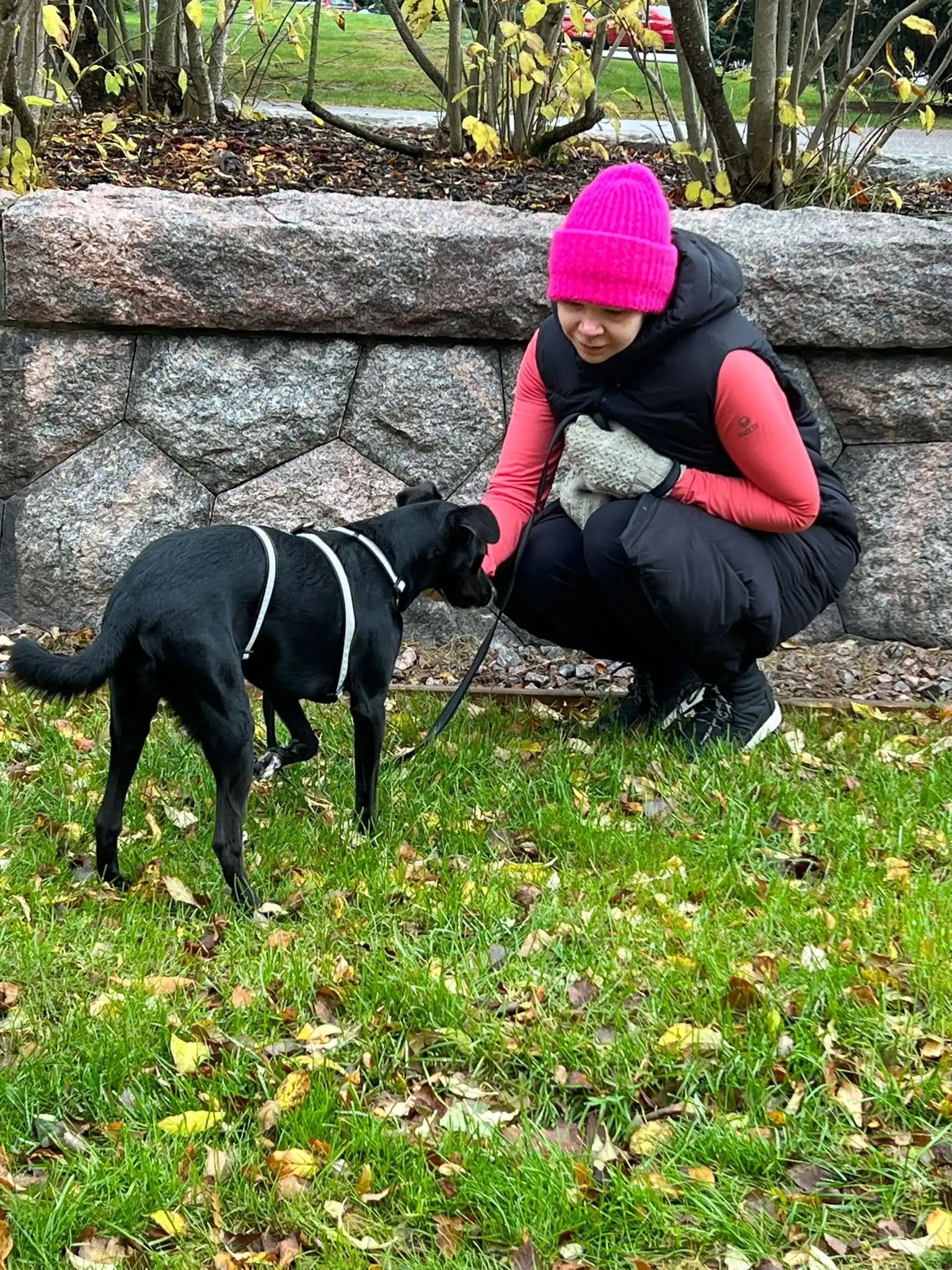 image-5